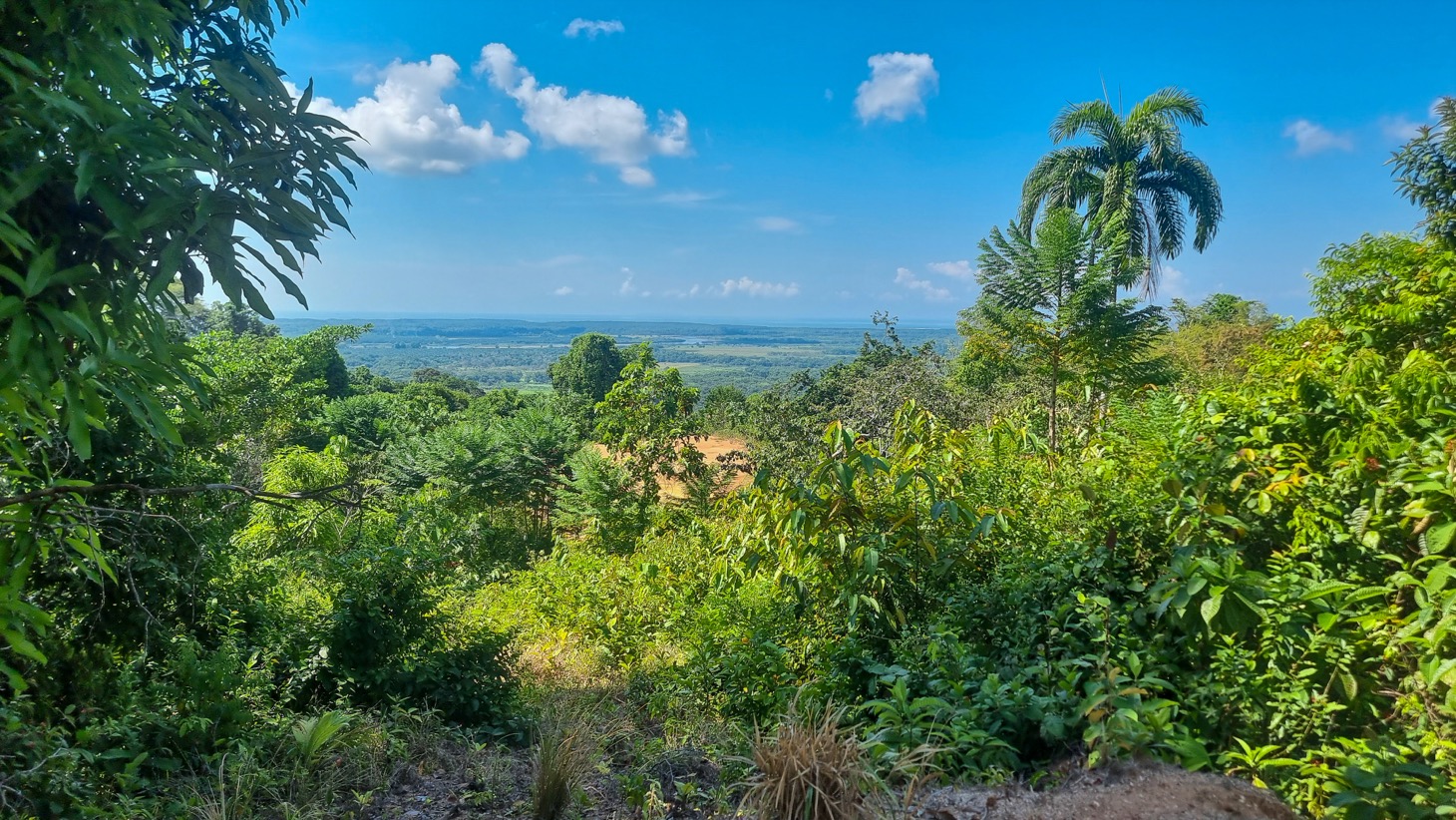 0 bed Land For Sale in Ojochal, Puntarenas - thumb 9