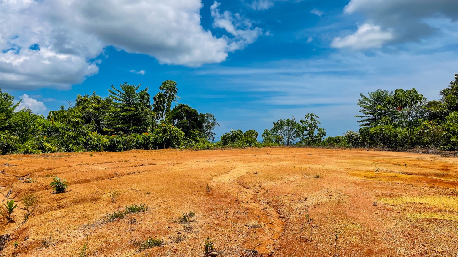 0 bed Land For Sale in Ojochal, Puntarenas - thumb 11