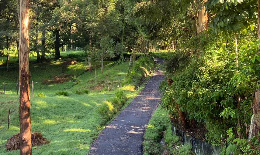 3 bed Single Family Homes For Sale in San Jose, San Jose - thumb 3