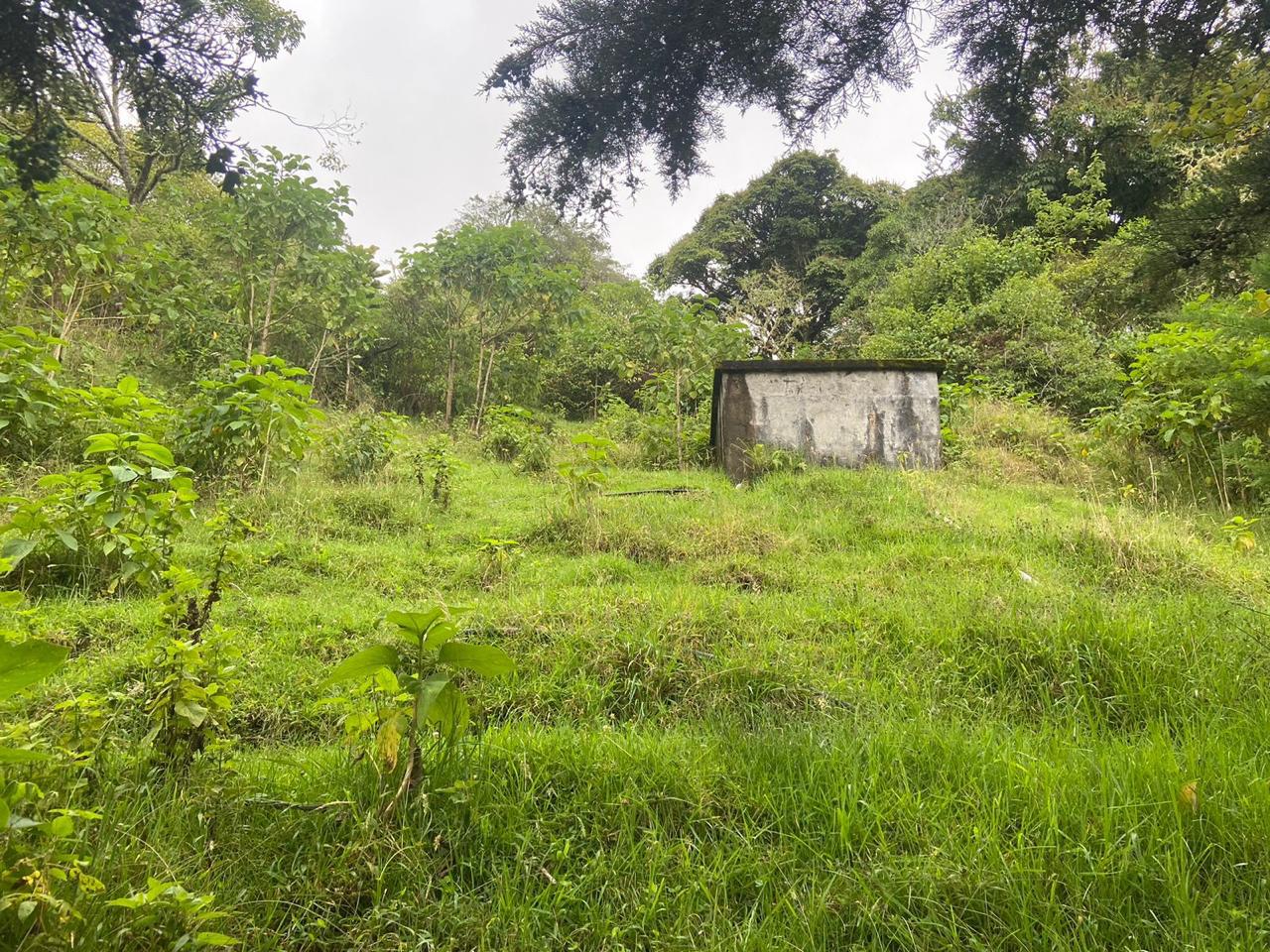 1 bed Single Family Homes For Sale in San Jose, San Jose - thumb 18