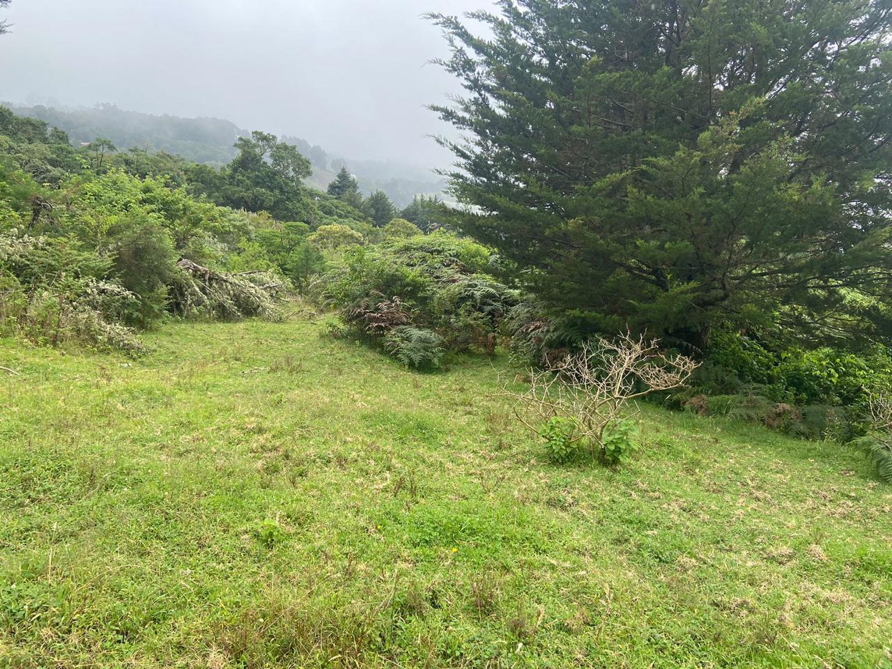 1 bed Single Family Homes For Sale in San Jose, San Jose - thumb 20