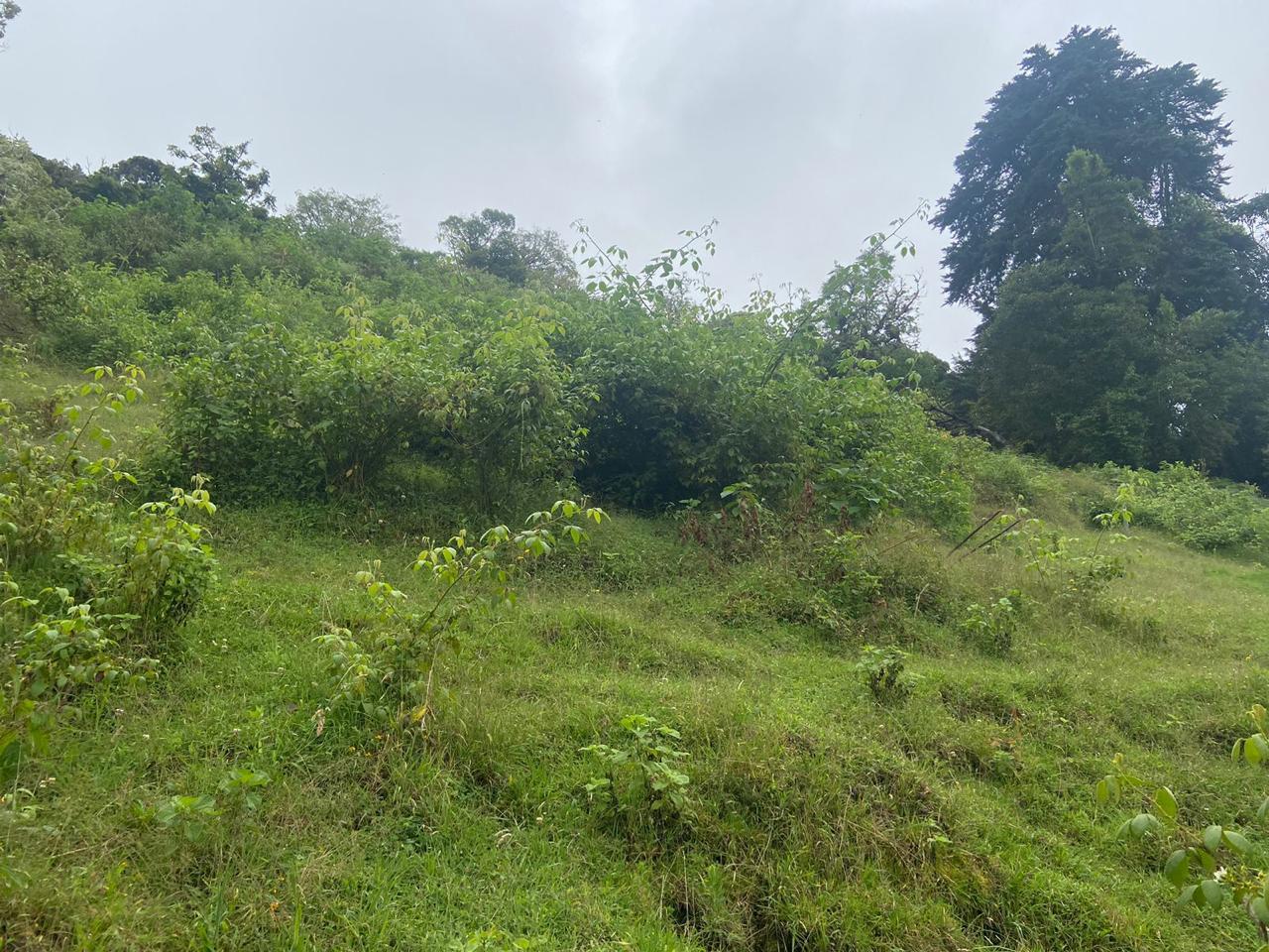 1 bed Single Family Homes For Sale in San Jose, San Jose - thumb 19