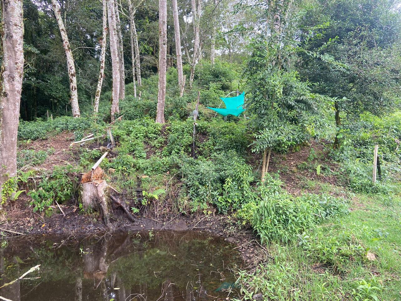 1 bed Single Family Homes For Sale in San Jose, San Jose - thumb 8