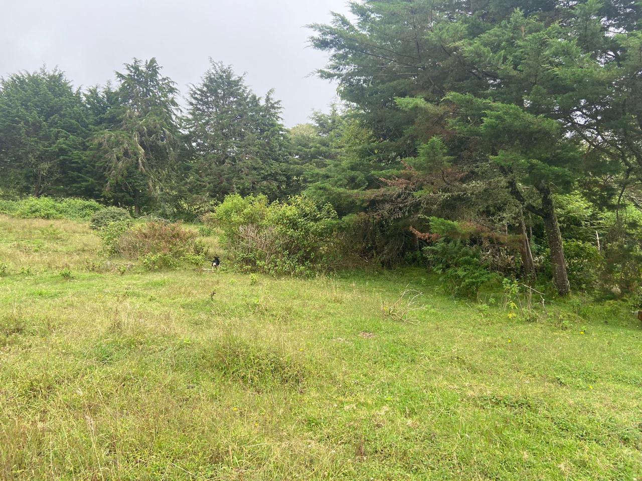 1 bed Single Family Homes For Sale in San Jose, San Jose - thumb 12