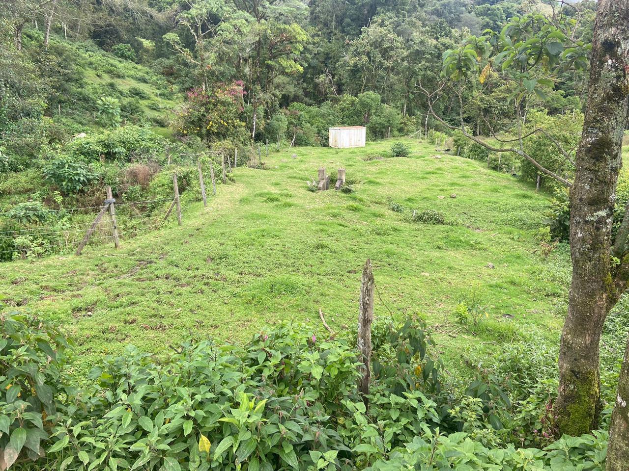 1 bed Single Family Homes For Sale in San Jose, San Jose - thumb 9