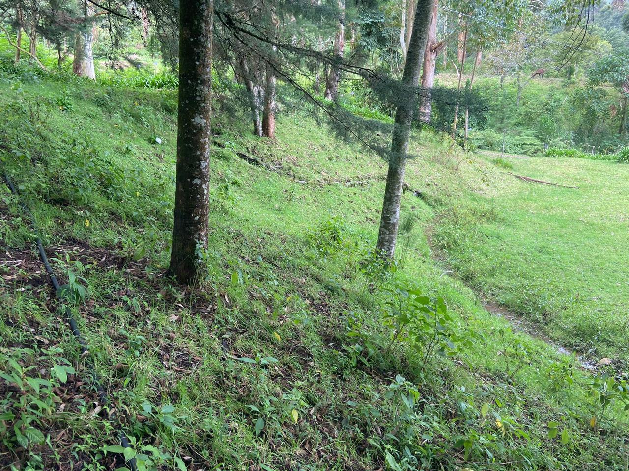 1 bed Single Family Homes For Sale in San Jose, San Jose - thumb 10