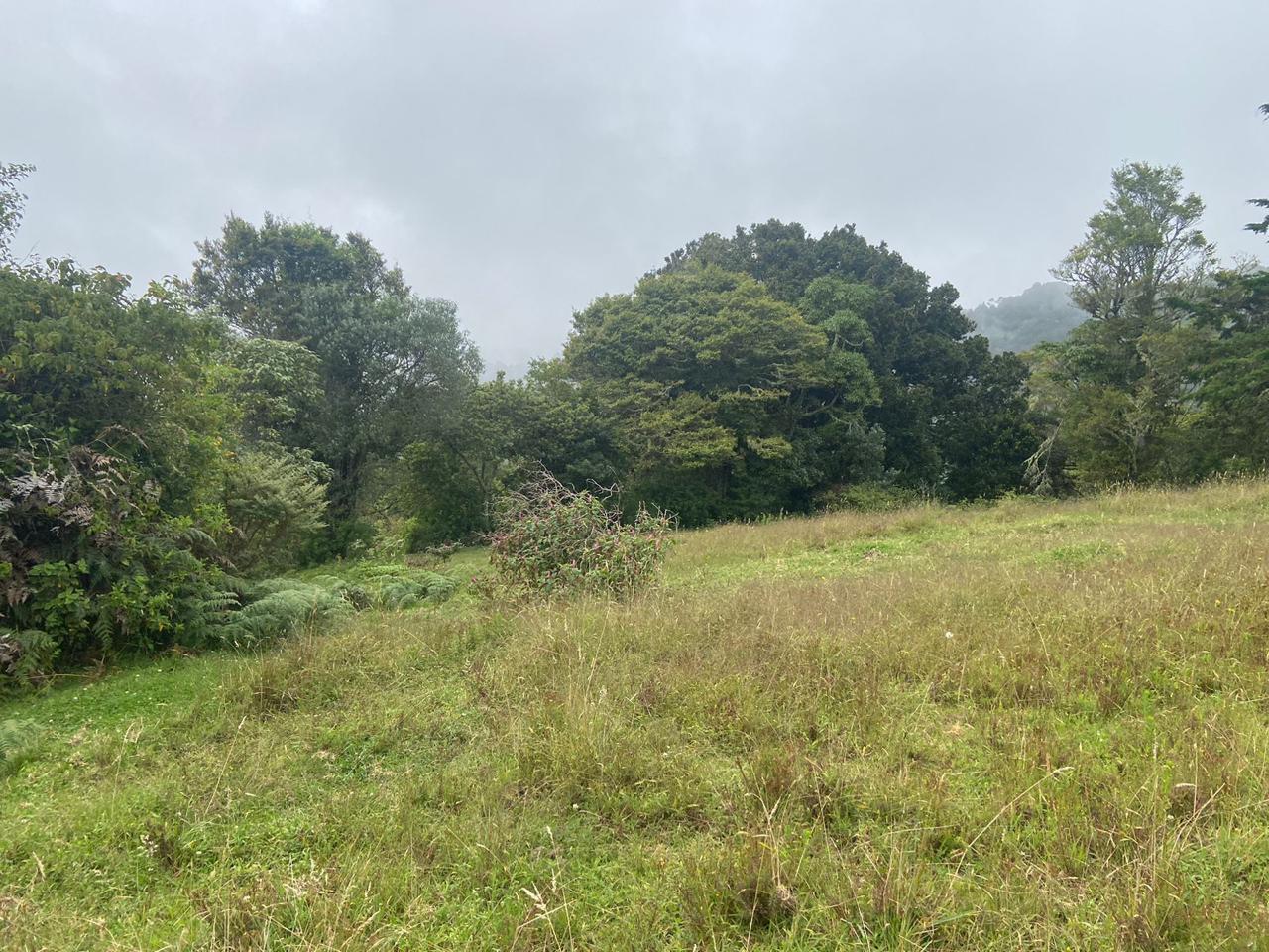 1 bed Single Family Homes For Sale in San Jose, San Jose - thumb 2