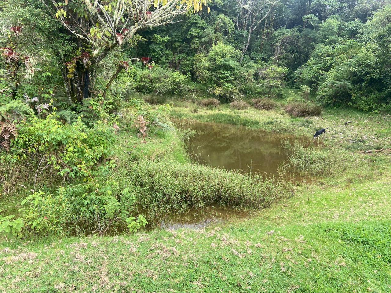 1 bed Single Family Homes For Sale in San Jose, San Jose - thumb 14