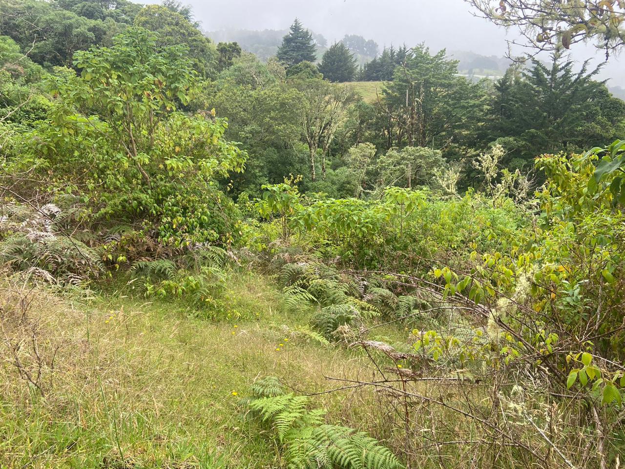 1 bed Single Family Homes For Sale in San Jose, San Jose - thumb 17