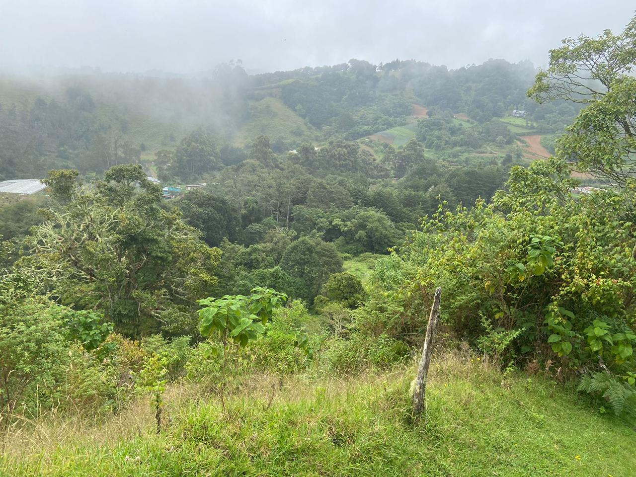 1 bed Single Family Homes For Sale in San Jose, San Jose - thumb 1