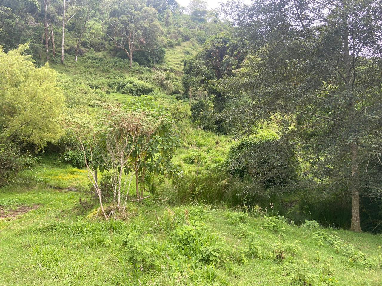 1 bed Single Family Homes For Sale in San Jose, San Jose - thumb 5