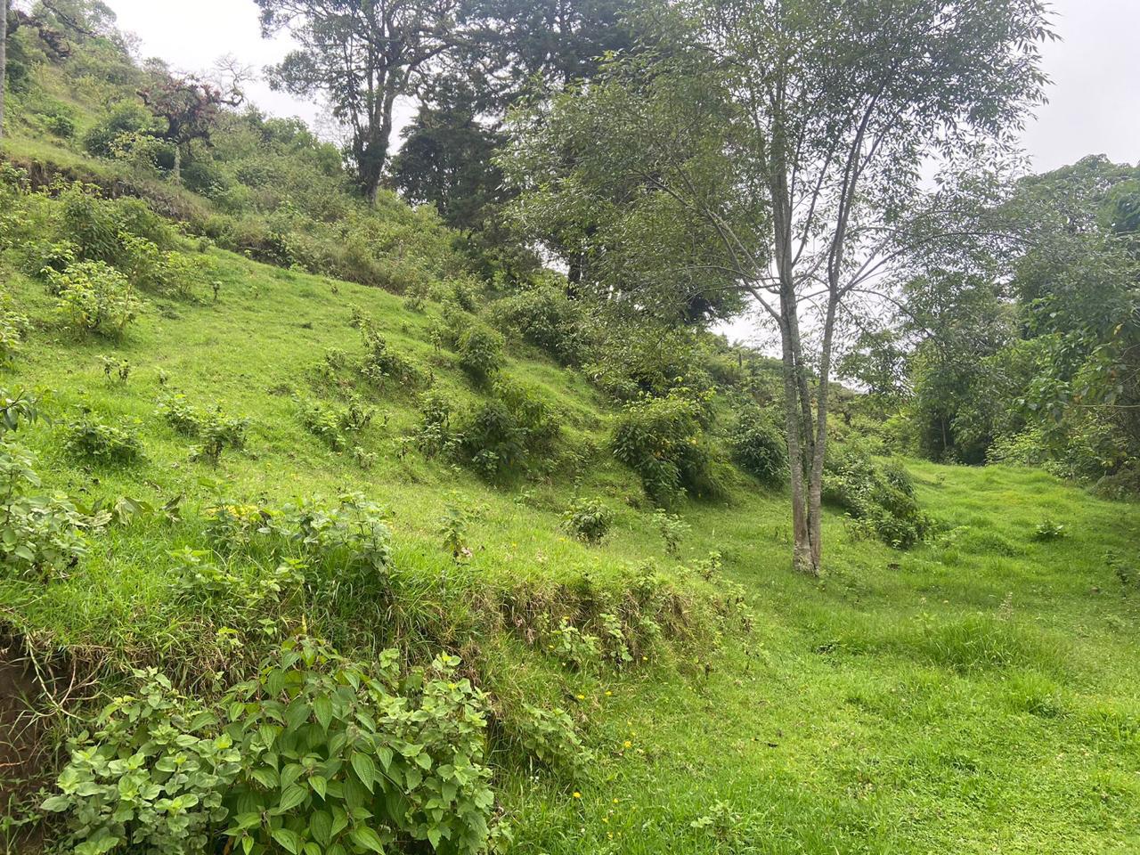 1 bed Single Family Homes For Sale in San Jose, San Jose - thumb 3