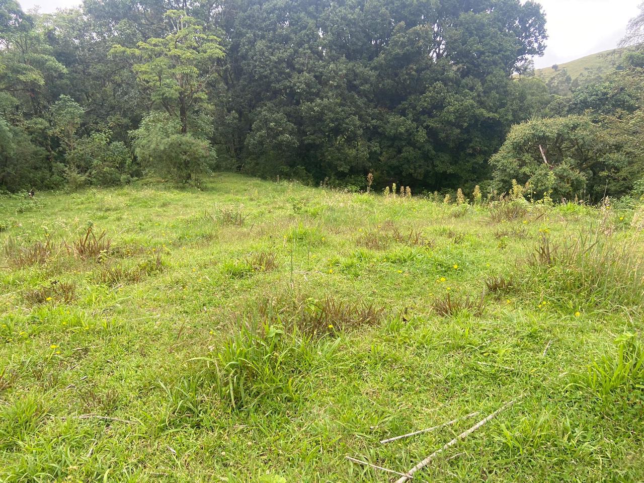 1 bed Single Family Homes For Sale in San Jose, San Jose - thumb 6