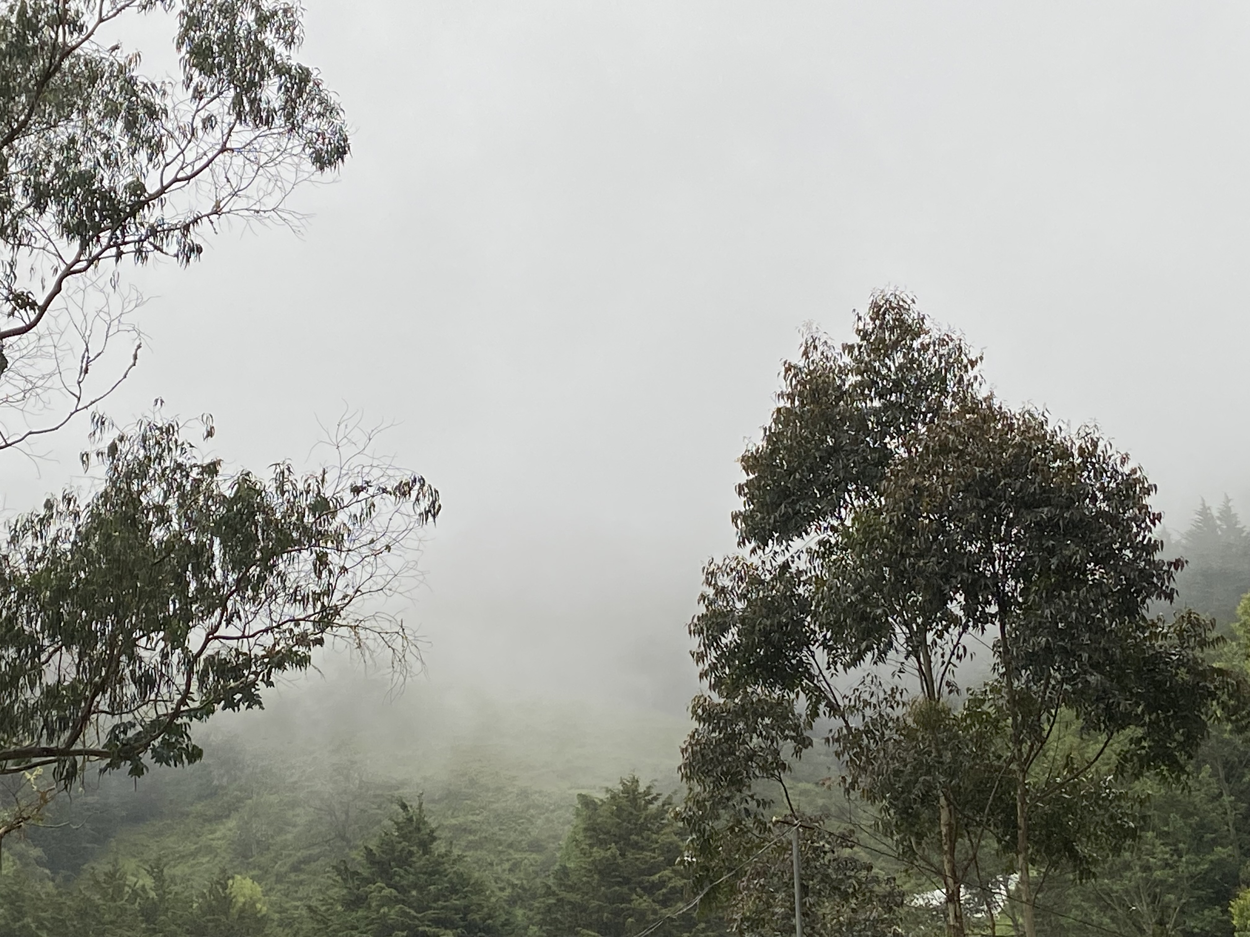 1 bed Single Family Homes For Sale in San Jose, San Jose - thumb 21