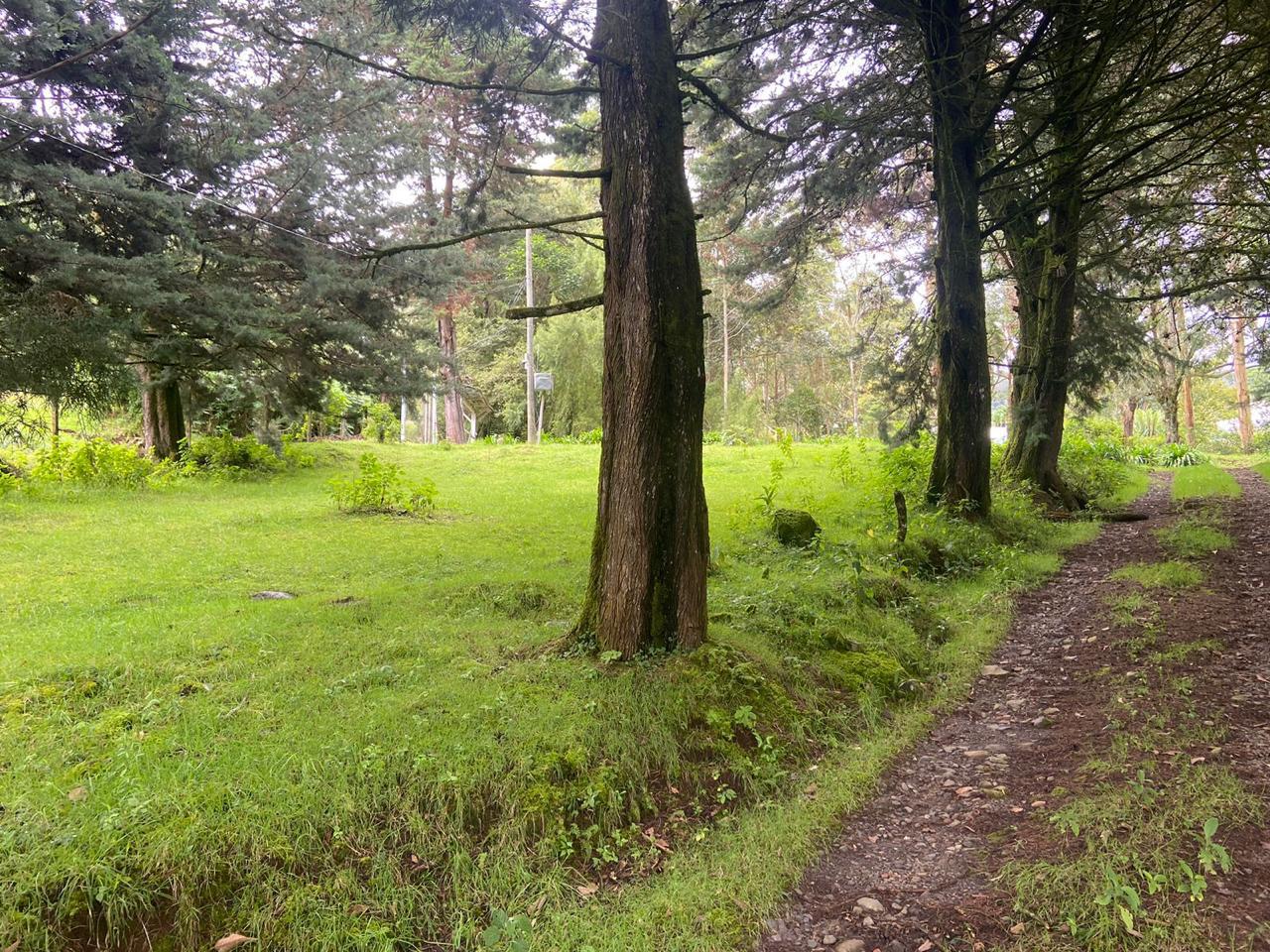 1 bed Single Family Homes For Sale in San Jose, San Jose - thumb 11