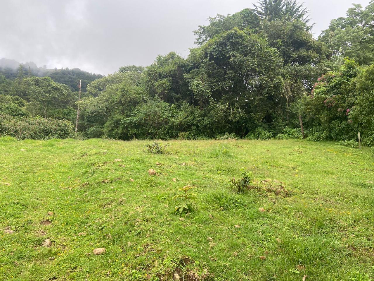 1 bed Single Family Homes For Sale in San Jose, San Jose - thumb 7