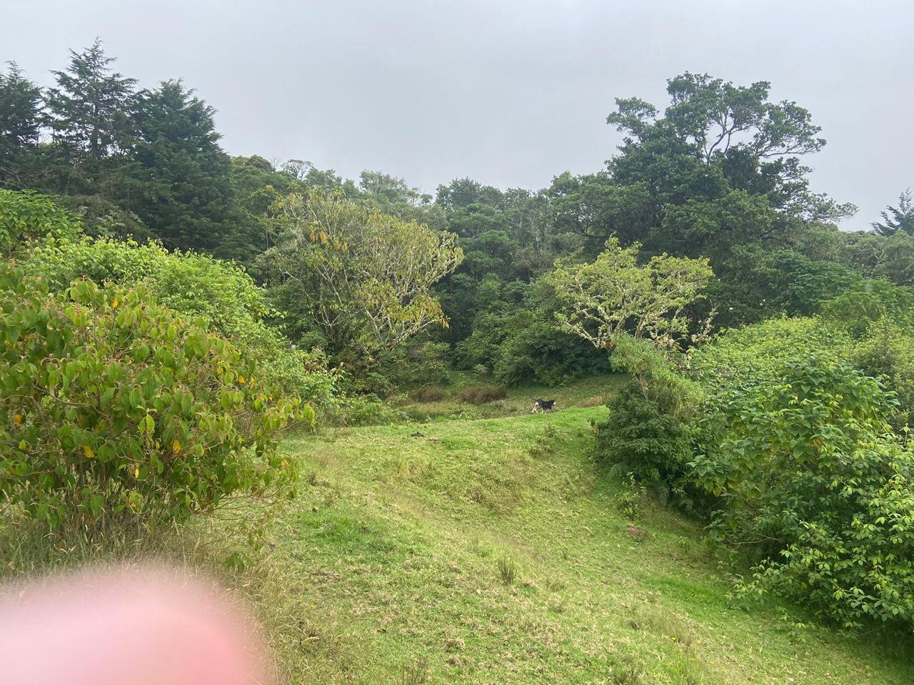 1 bed Single Family Homes For Sale in San Jose, San Jose - thumb 16