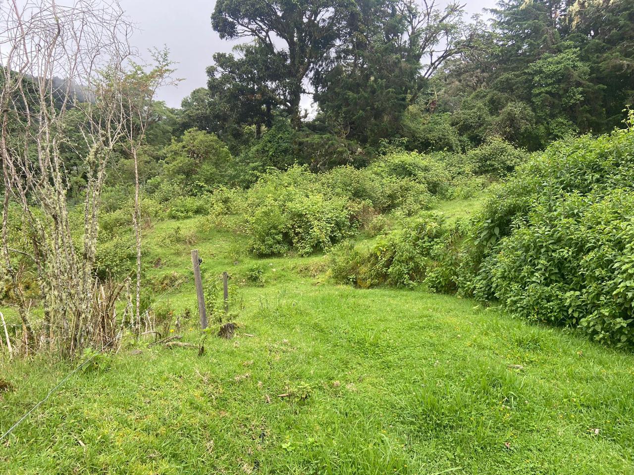 1 bed Single Family Homes For Sale in San Jose, San Jose - thumb 4