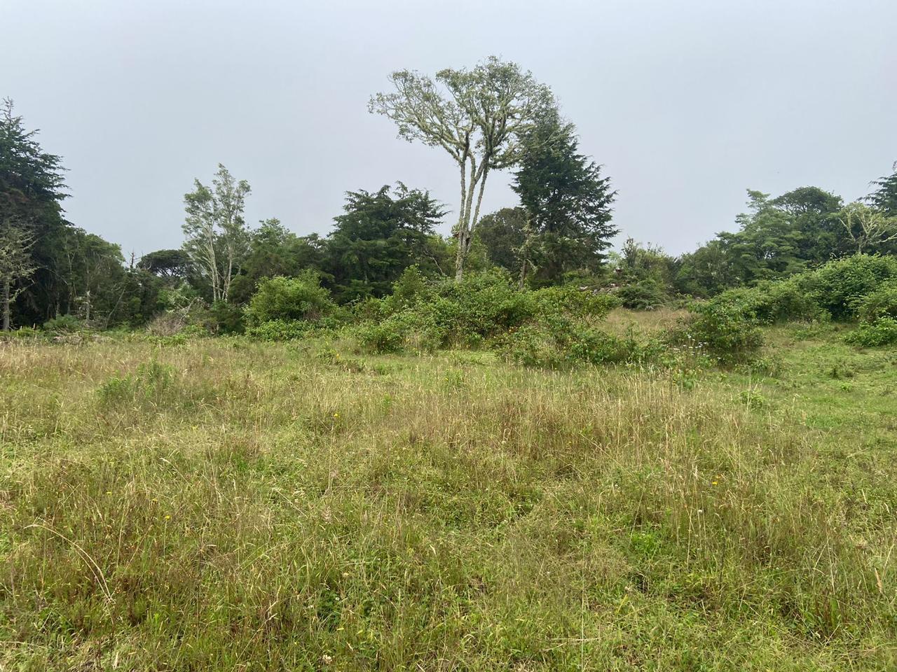 1 bed Single Family Homes For Sale in San Jose, San Jose - thumb 13