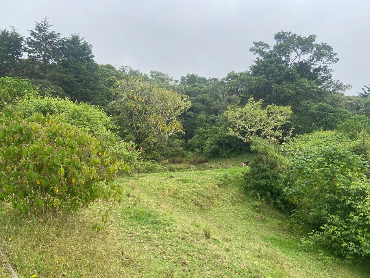 1 bed Single Family Homes For Sale in San Jose, San Jose - thumb 15