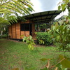  - Stunning 3.6 Acre Rainforest Home & Lodge, Jaco hills, 6 bed, 4 baths & More!