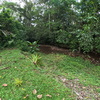  - Stunning 3.6 Acre Rainforest Home & Lodge, Jaco hills, 6 bed, 4 baths & More!