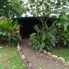  - Stunning 3.6 Acre Rainforest Home & Lodge, Jaco hills, 6 bed, 4 baths & More!