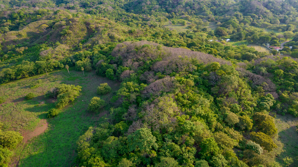0 bed Land For Sale in Sardinal, Guanacaste - thumb 12