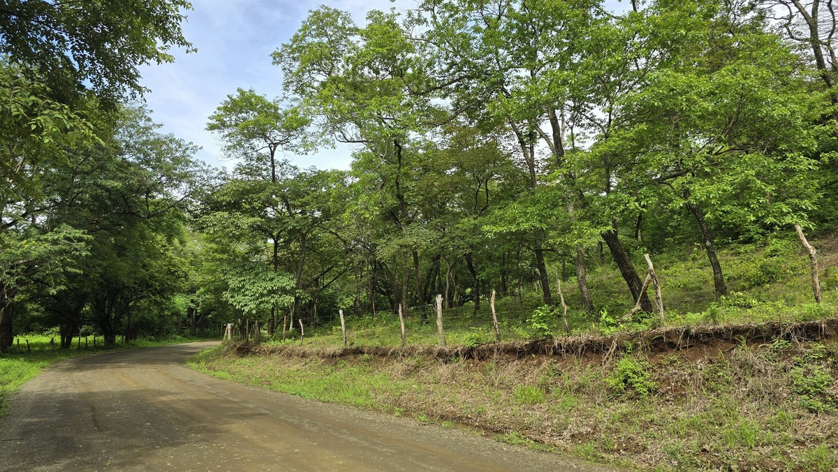 0 bed Land For Sale in Sardinal, Guanacaste - thumb 13