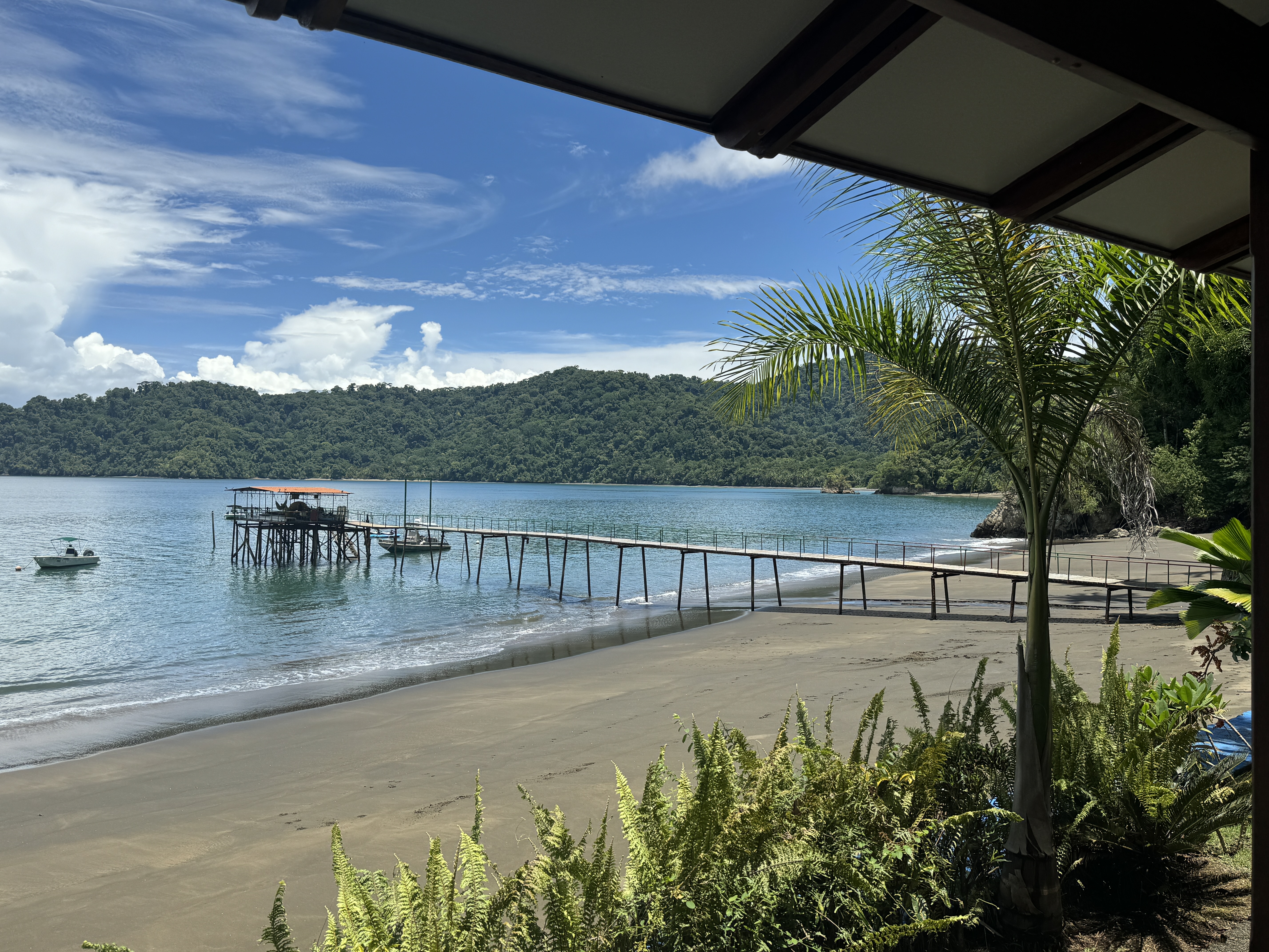 12 bed Hotel / Leisure For Sale in Golfito, Puntarenas - thumb 19