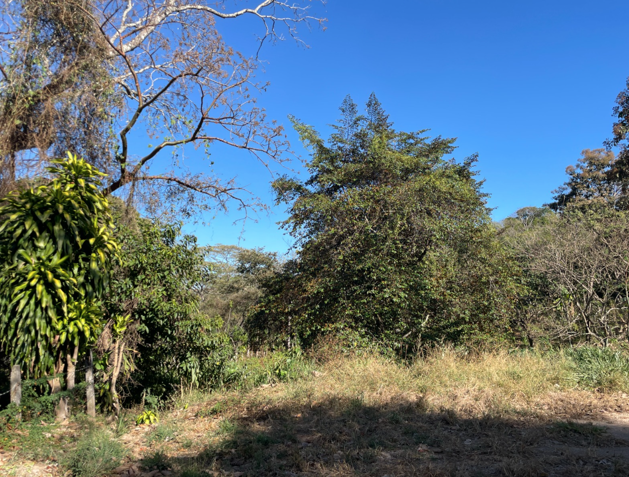 0 bed Land For Sale in Atenas, Alajuela - thumb 2
