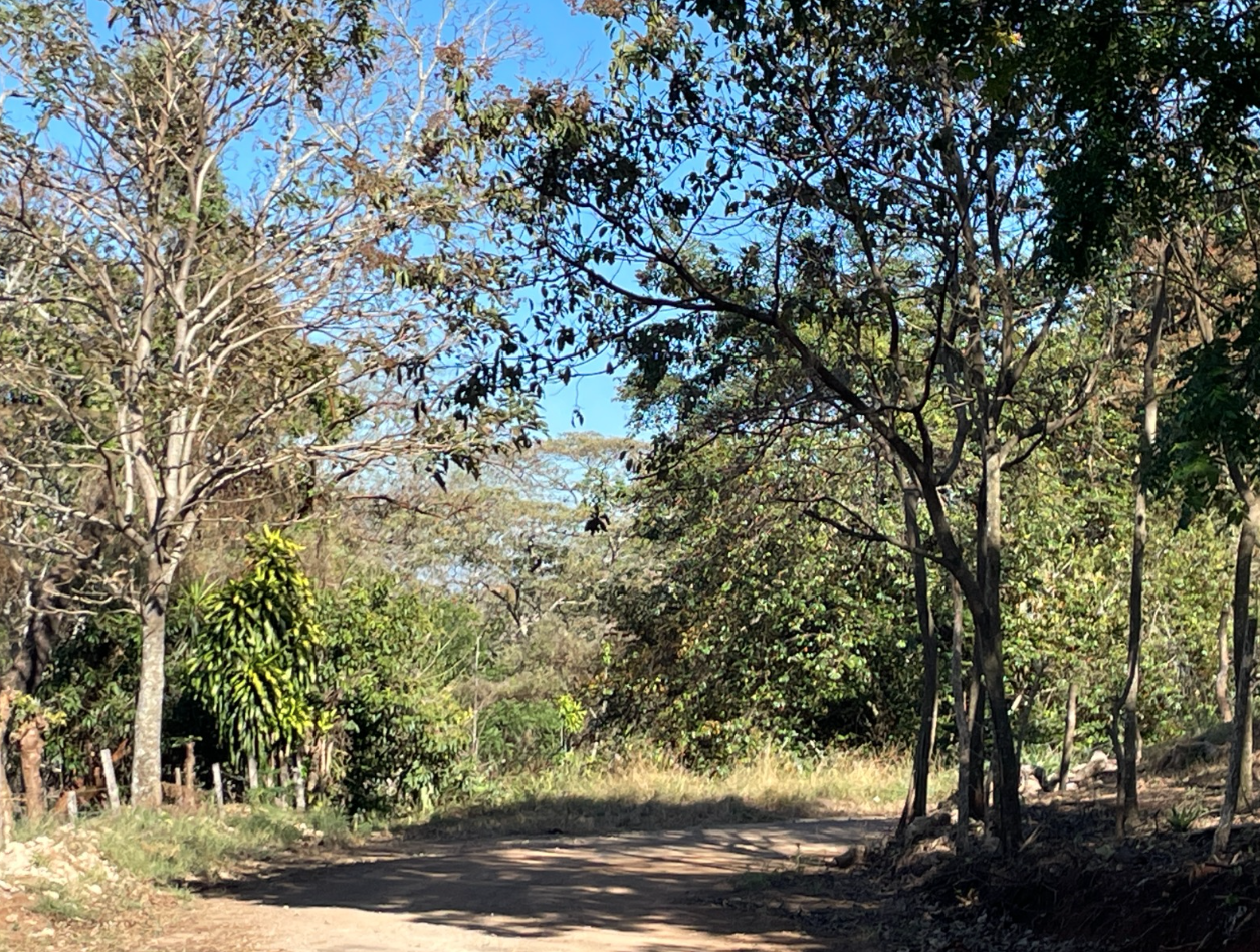 0 bed Land For Sale in Atenas, Alajuela - thumb 3