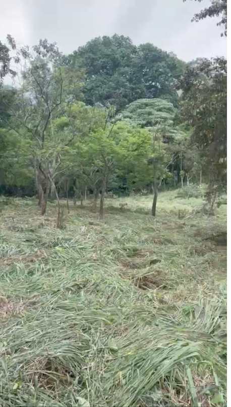 0 bed Land For Sale in Atenas, Alajuela - thumb 6