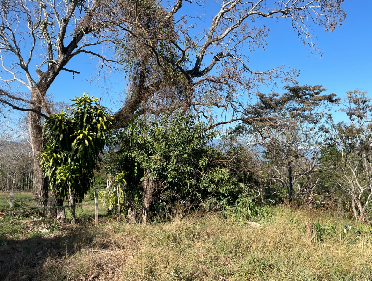 0 bed Land For Sale in Atenas, Alajuela - thumb 4