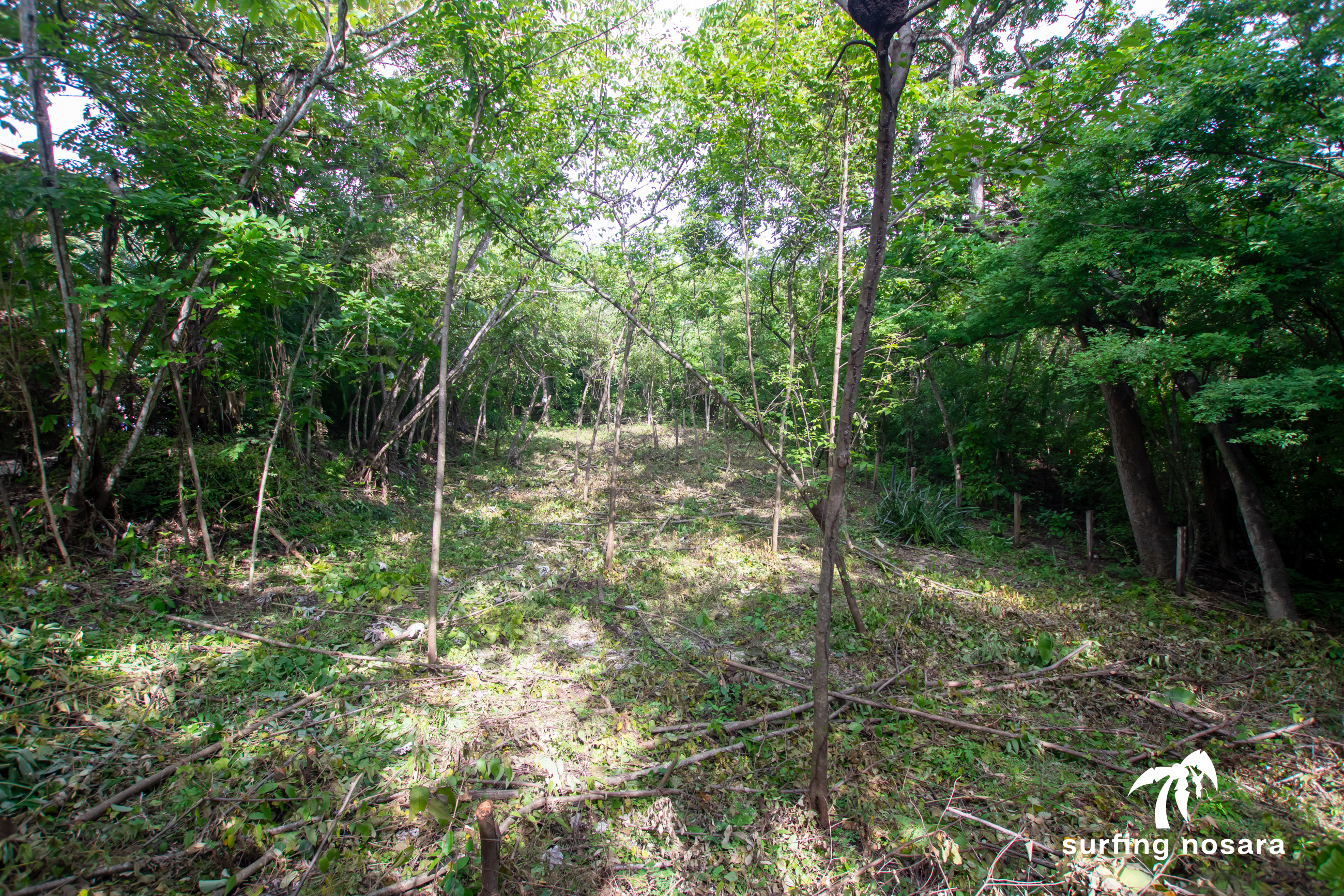 0 bed Land For Sale in Nosara, Guanacaste - thumb 1