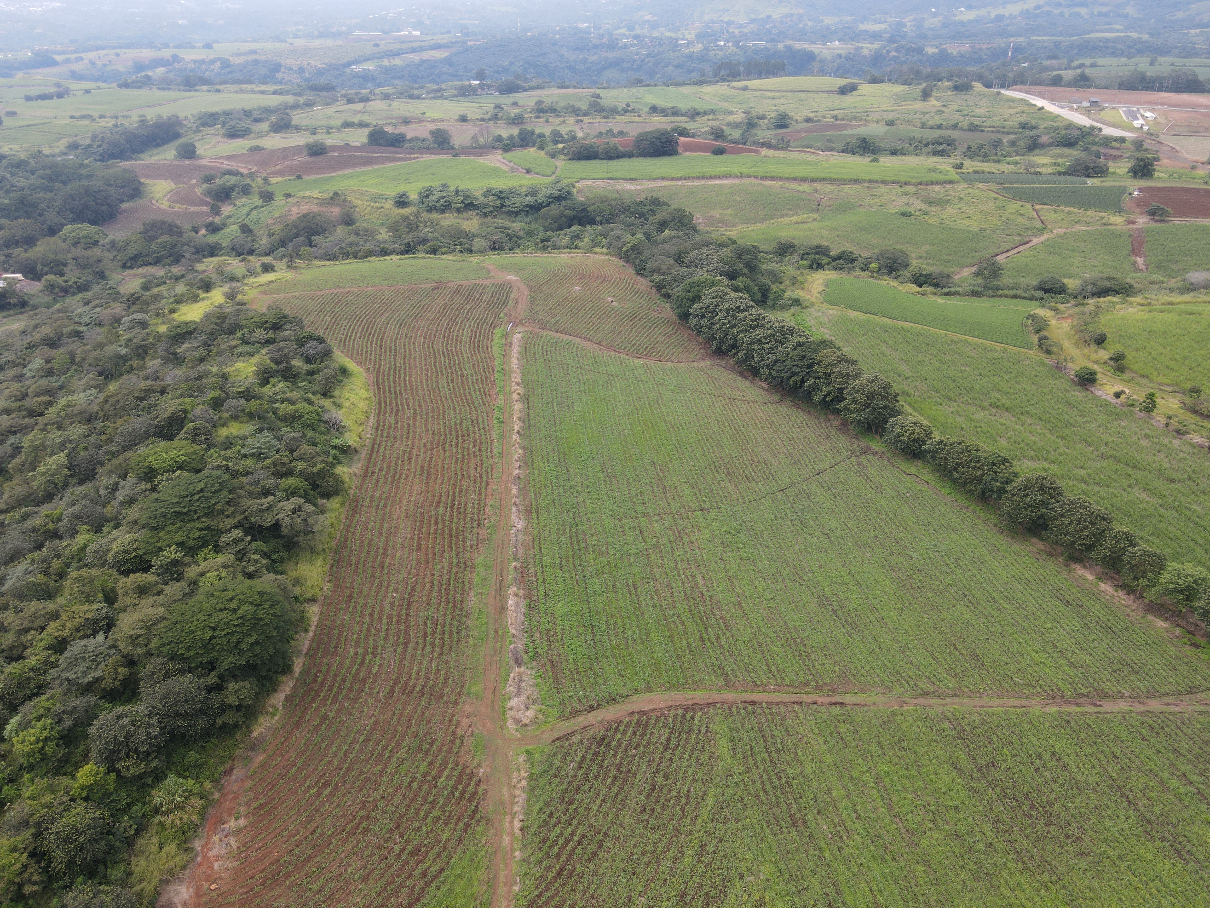 0 bed Land For Sale in Grecia, Alajuela - thumb 8