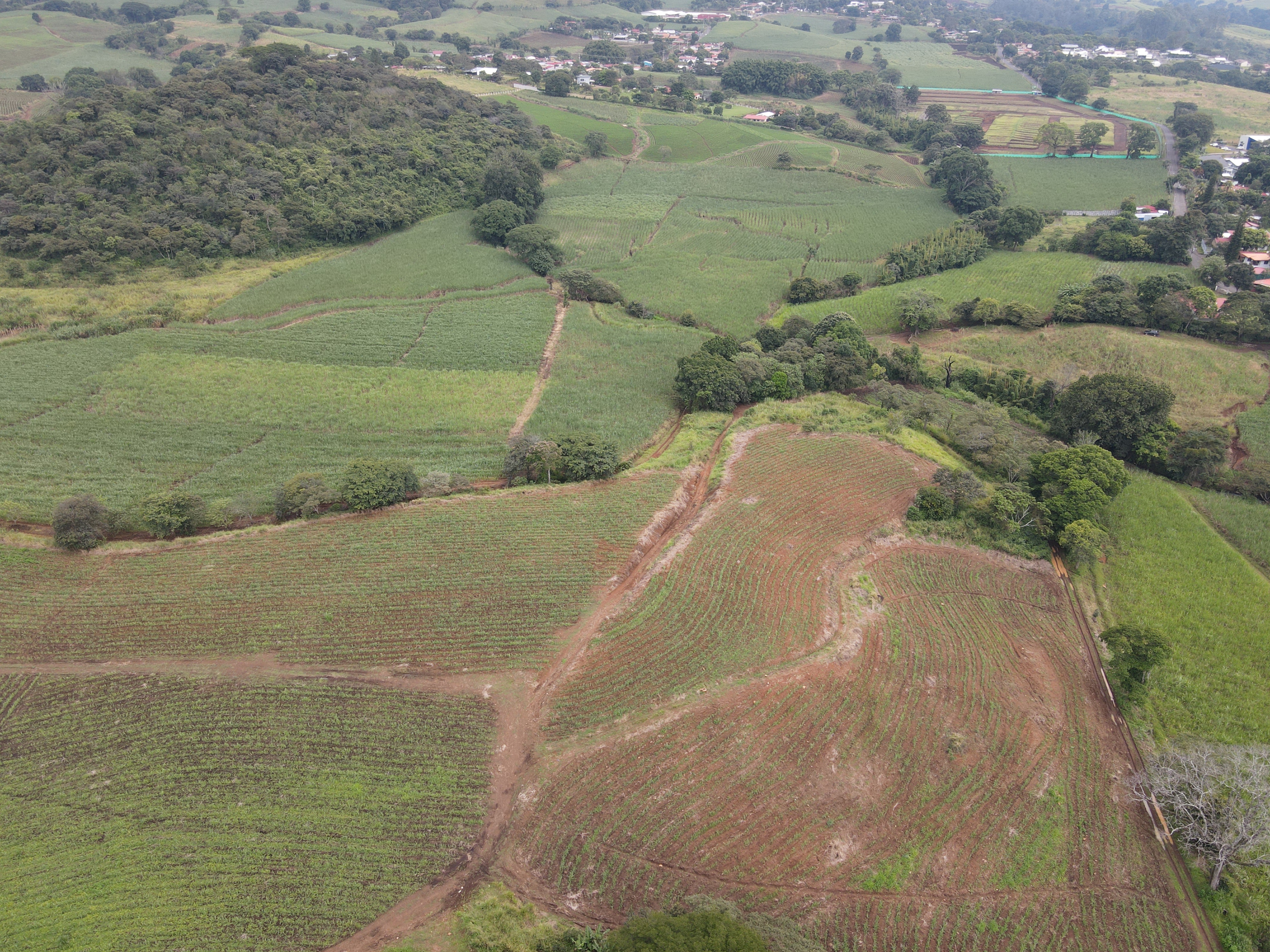 0 bed Land For Sale in Grecia, Alajuela - thumb 10