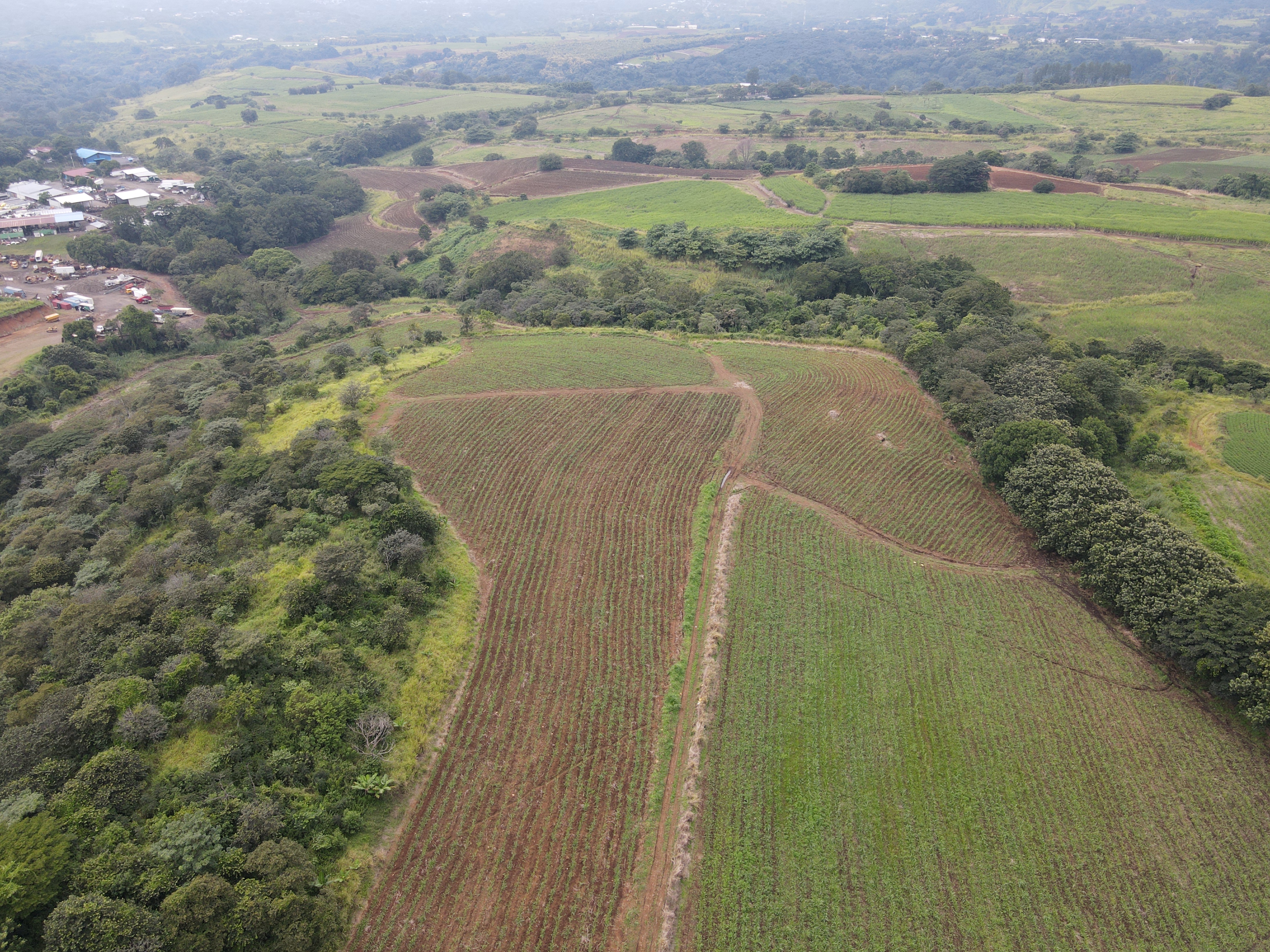 0 bed Land For Sale in Grecia, Alajuela - thumb 1