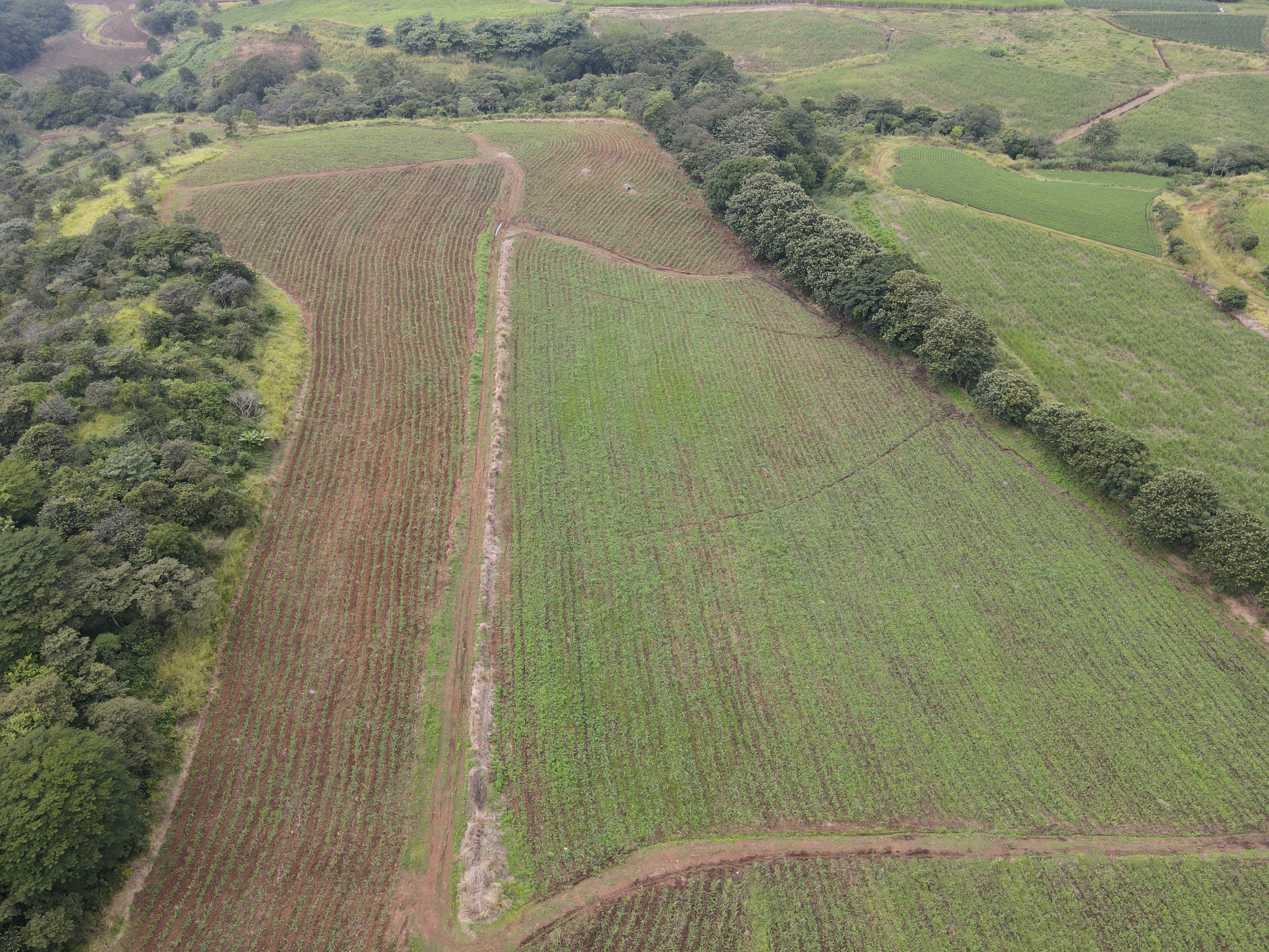 0 bed Land For Sale in Grecia, Alajuela - thumb 9