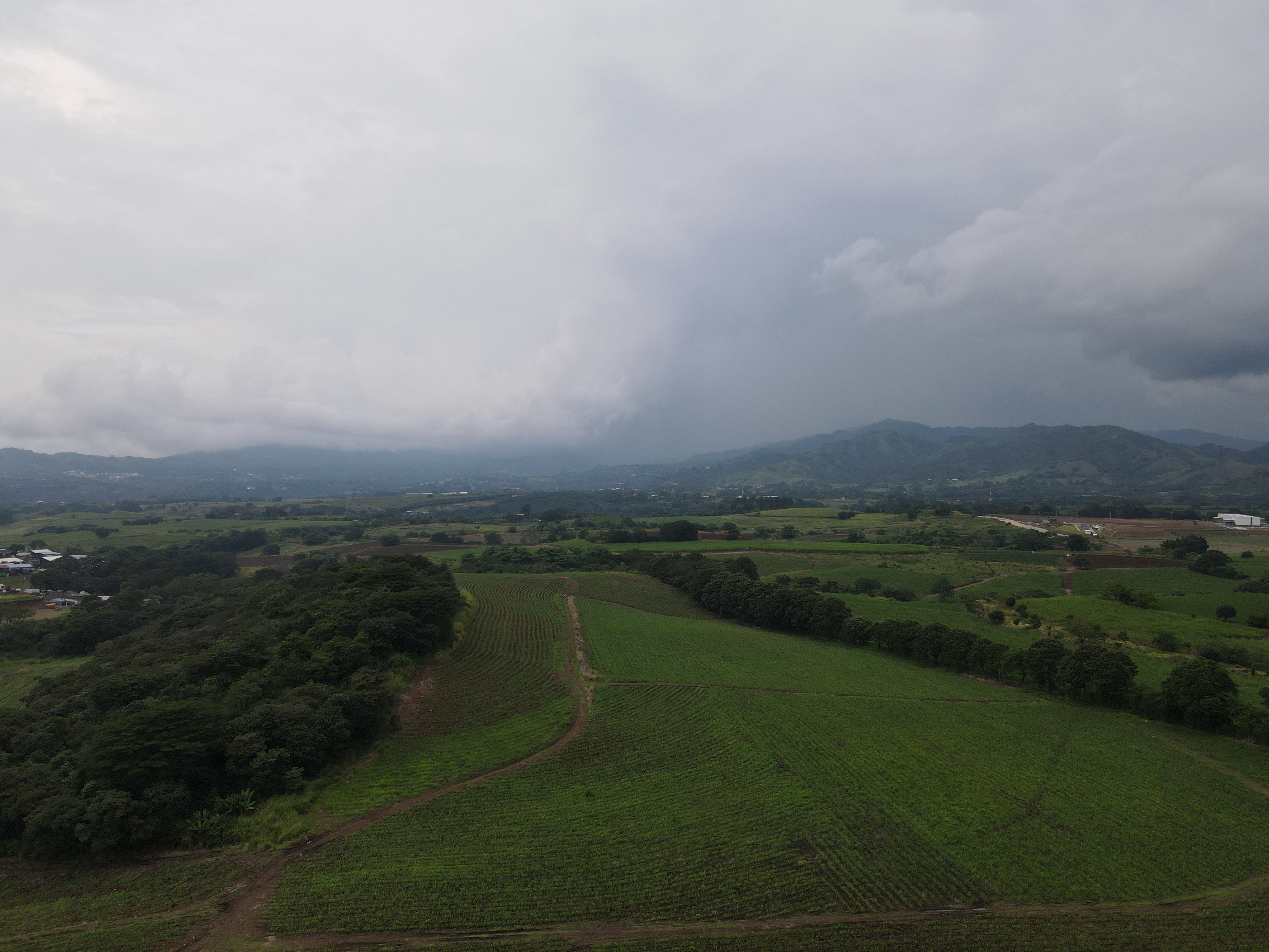 0 bed Land For Sale in Grecia, Alajuela - thumb 2