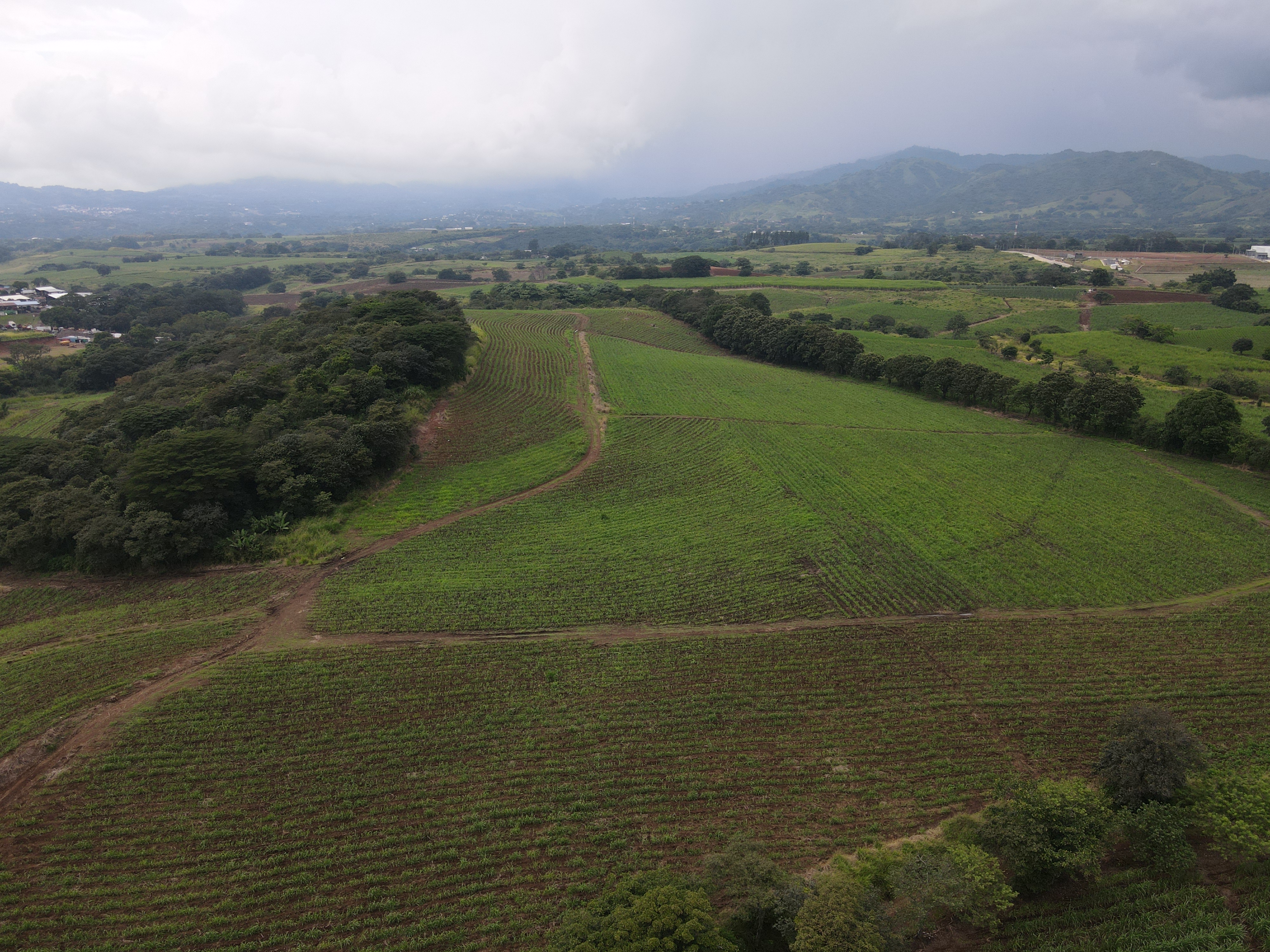 0 bed Land For Sale in Grecia, Alajuela - thumb 7