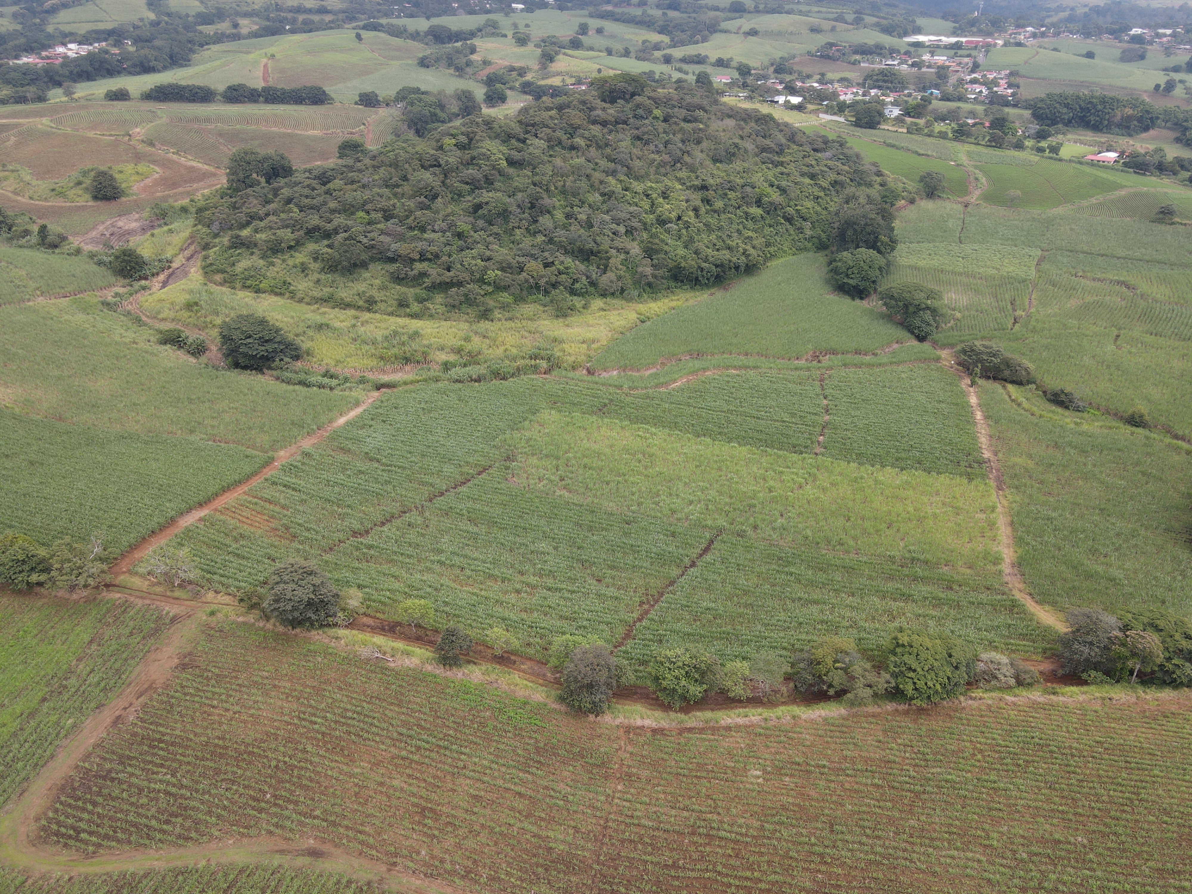 0 bed Land For Sale in Grecia, Alajuela - thumb 3