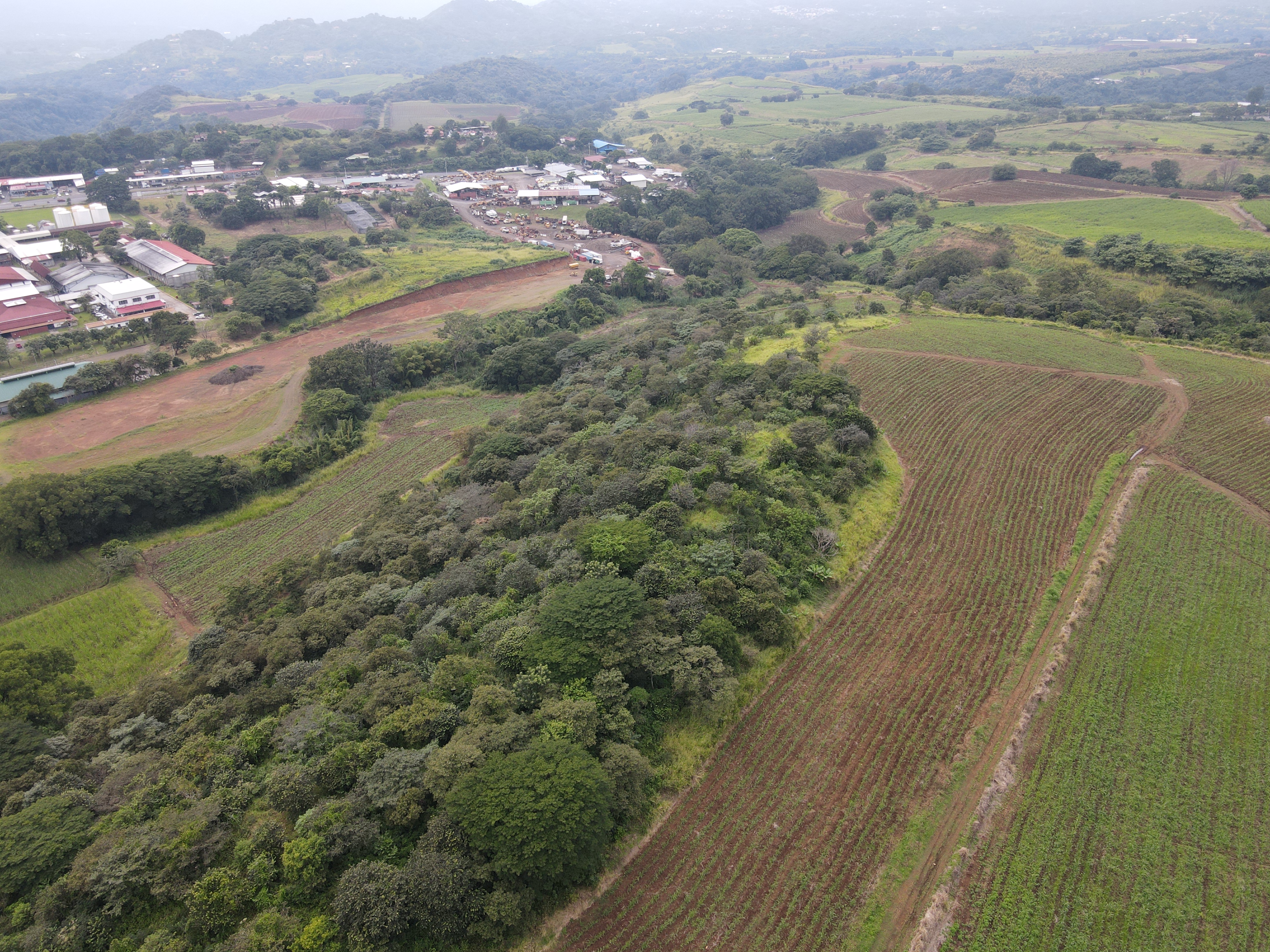 0 bed Land For Sale in Grecia, Alajuela - thumb 4