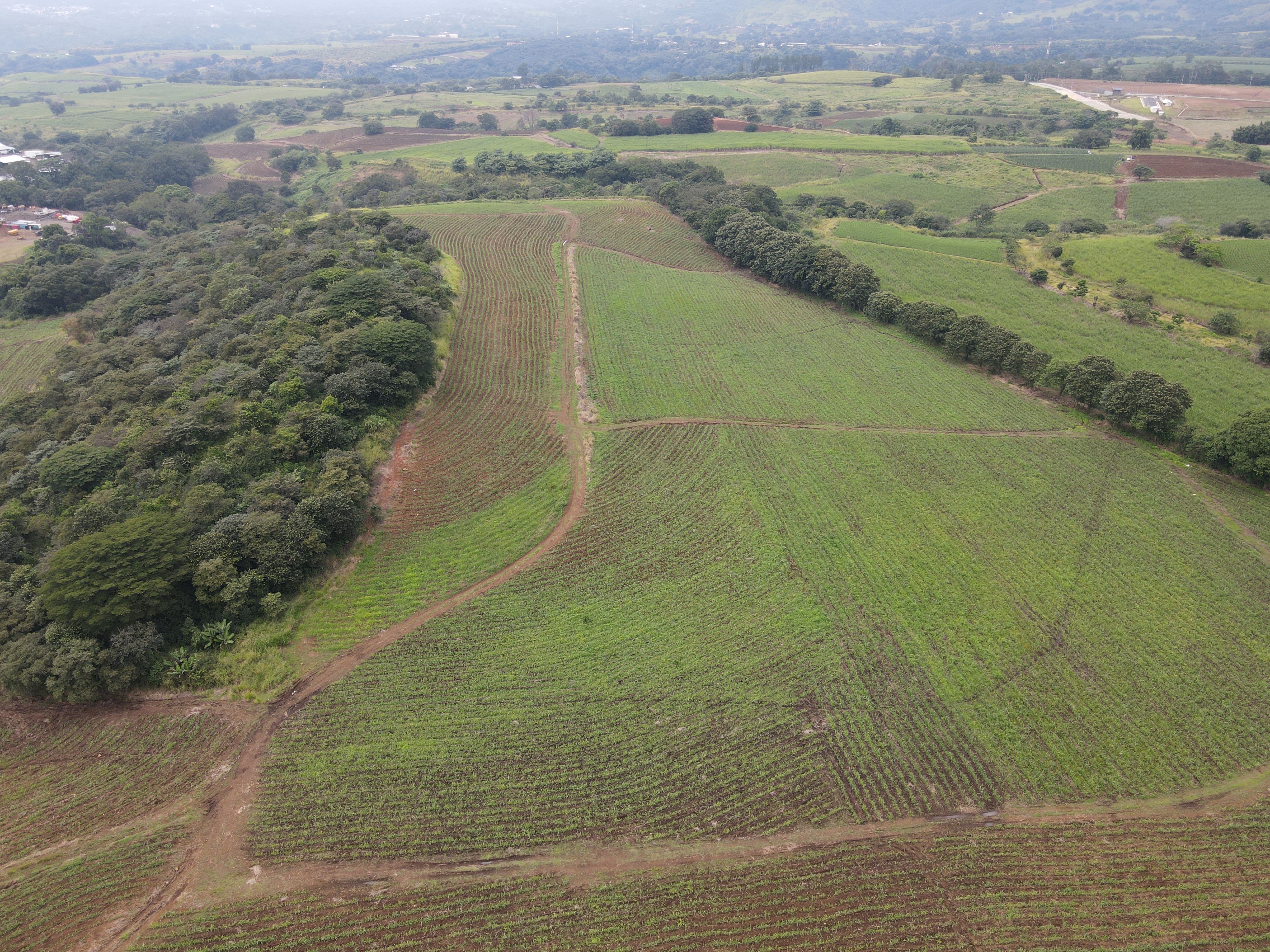 0 bed Land For Sale in Grecia, Alajuela - thumb 5