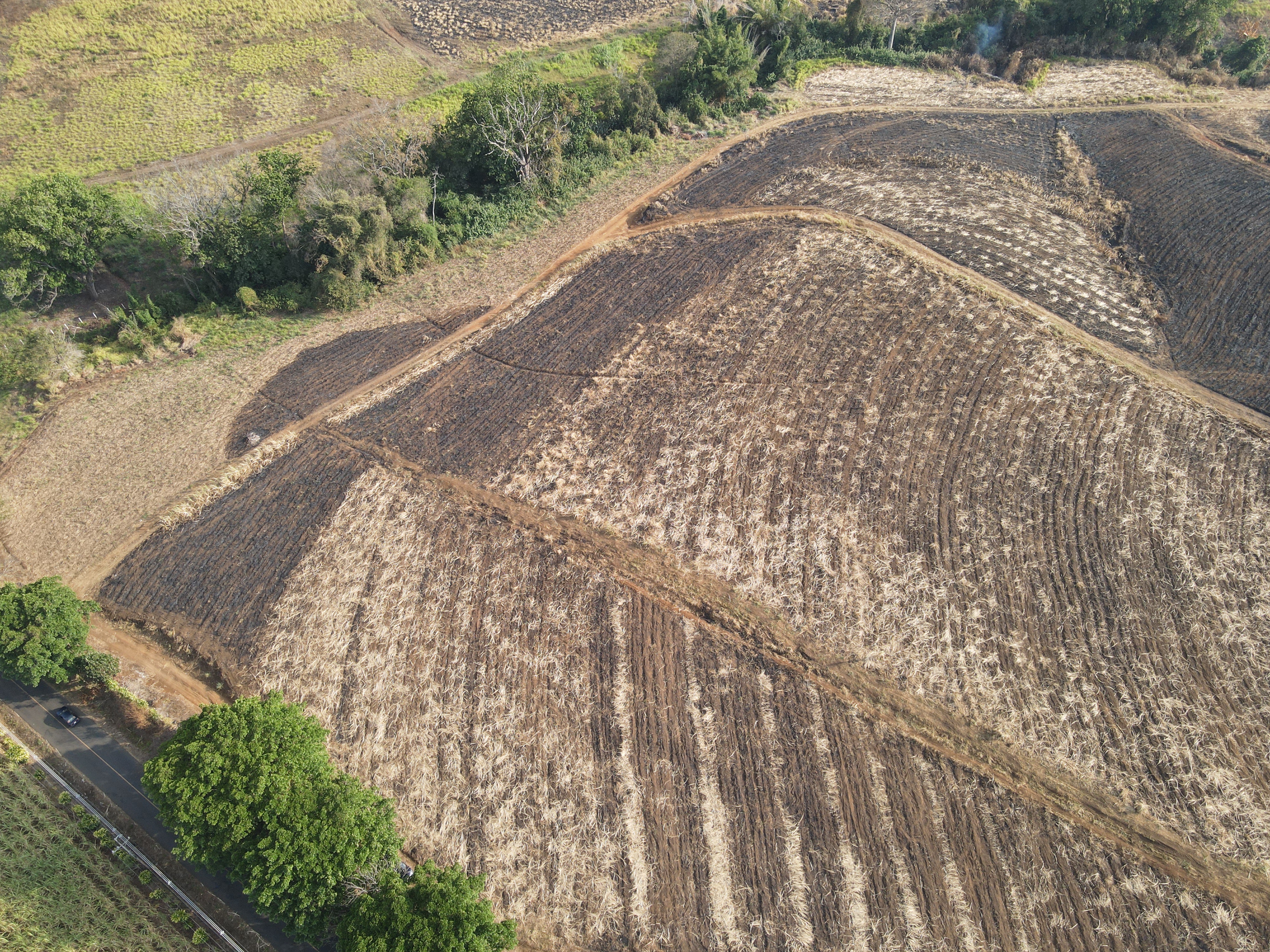 0 bed Land For Sale in Grecia, Alajuela - thumb 3