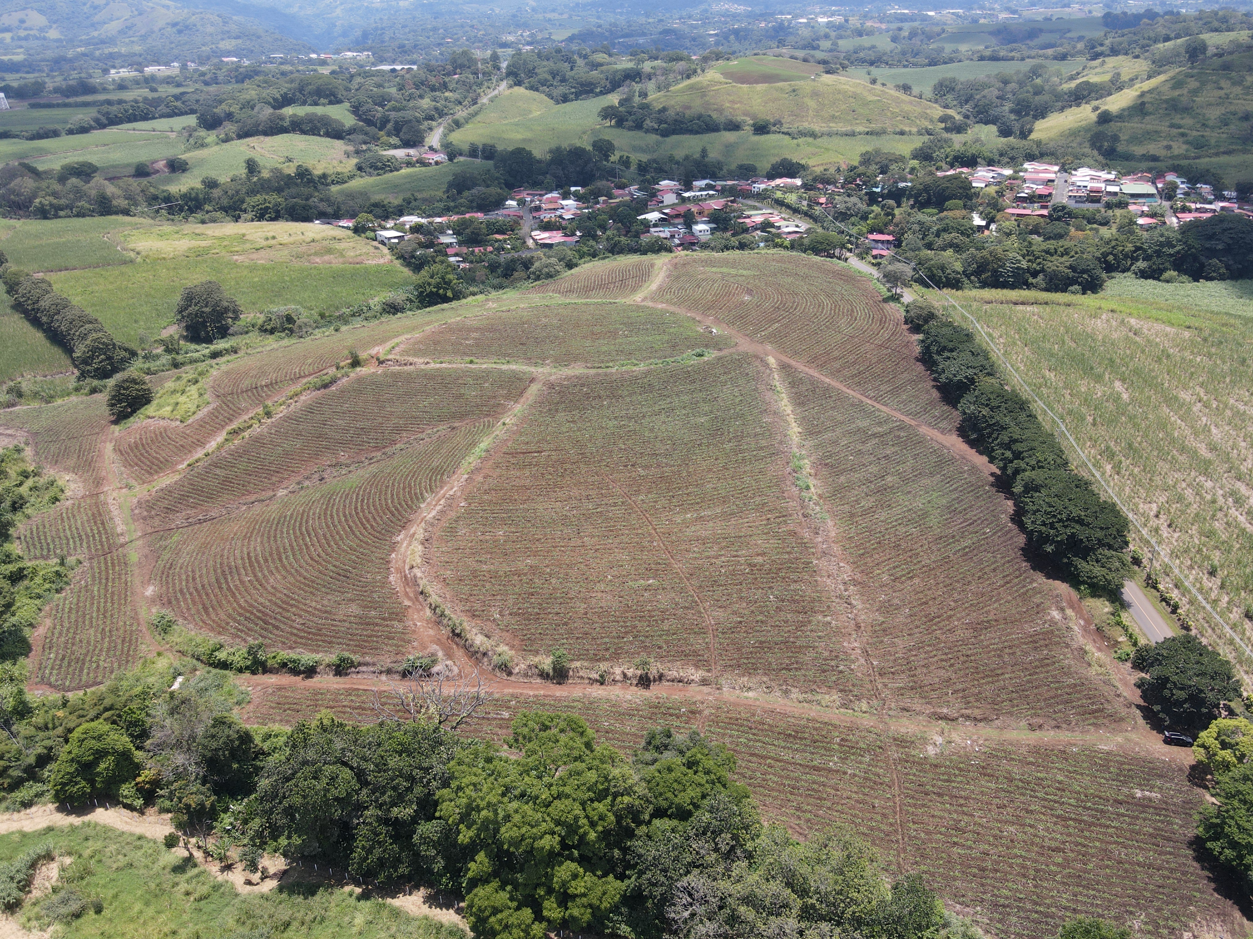 0 bed Land For Sale in Grecia, Alajuela - thumb 6