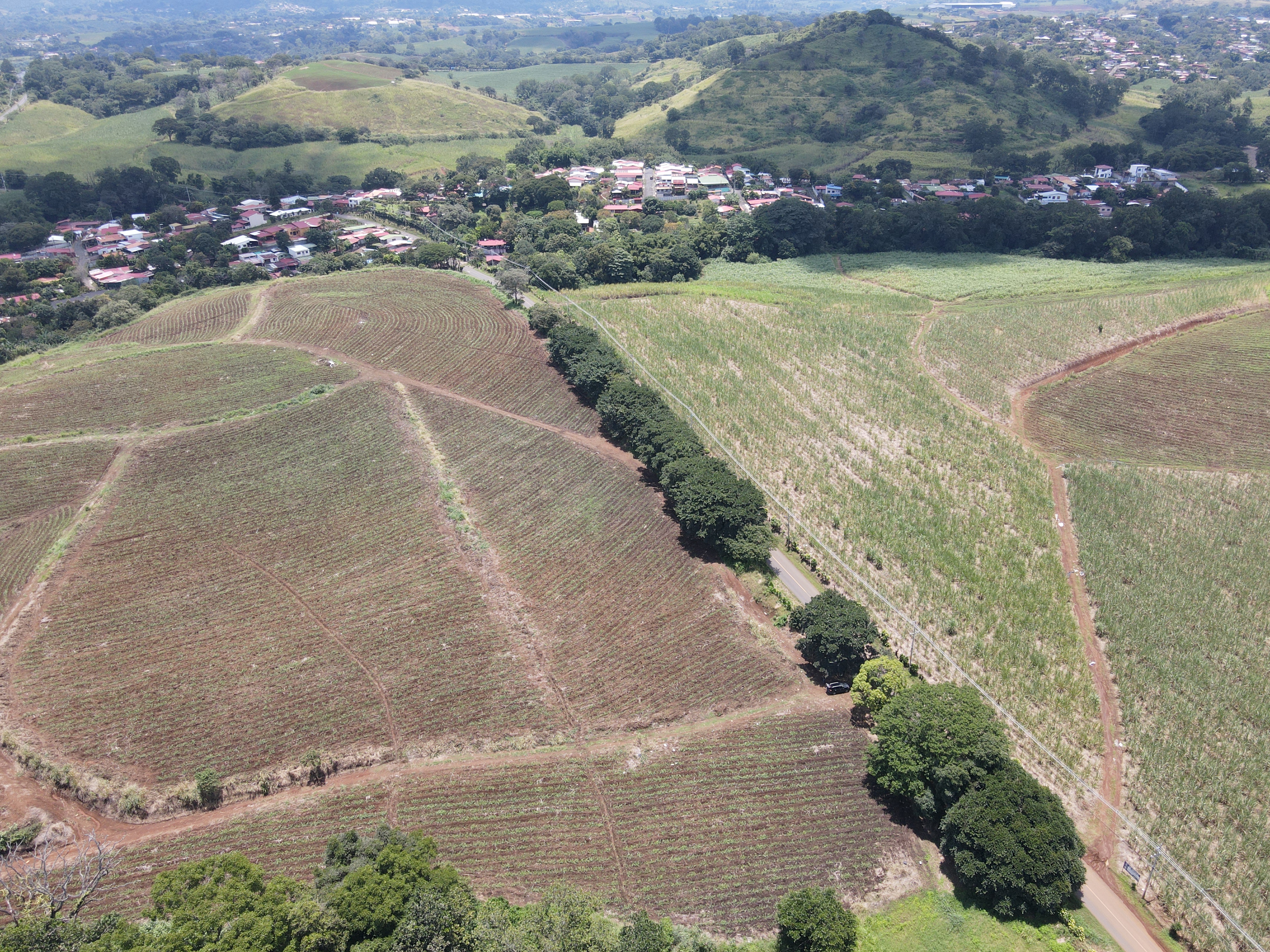 0 bed Land For Sale in Grecia, Alajuela - thumb 7