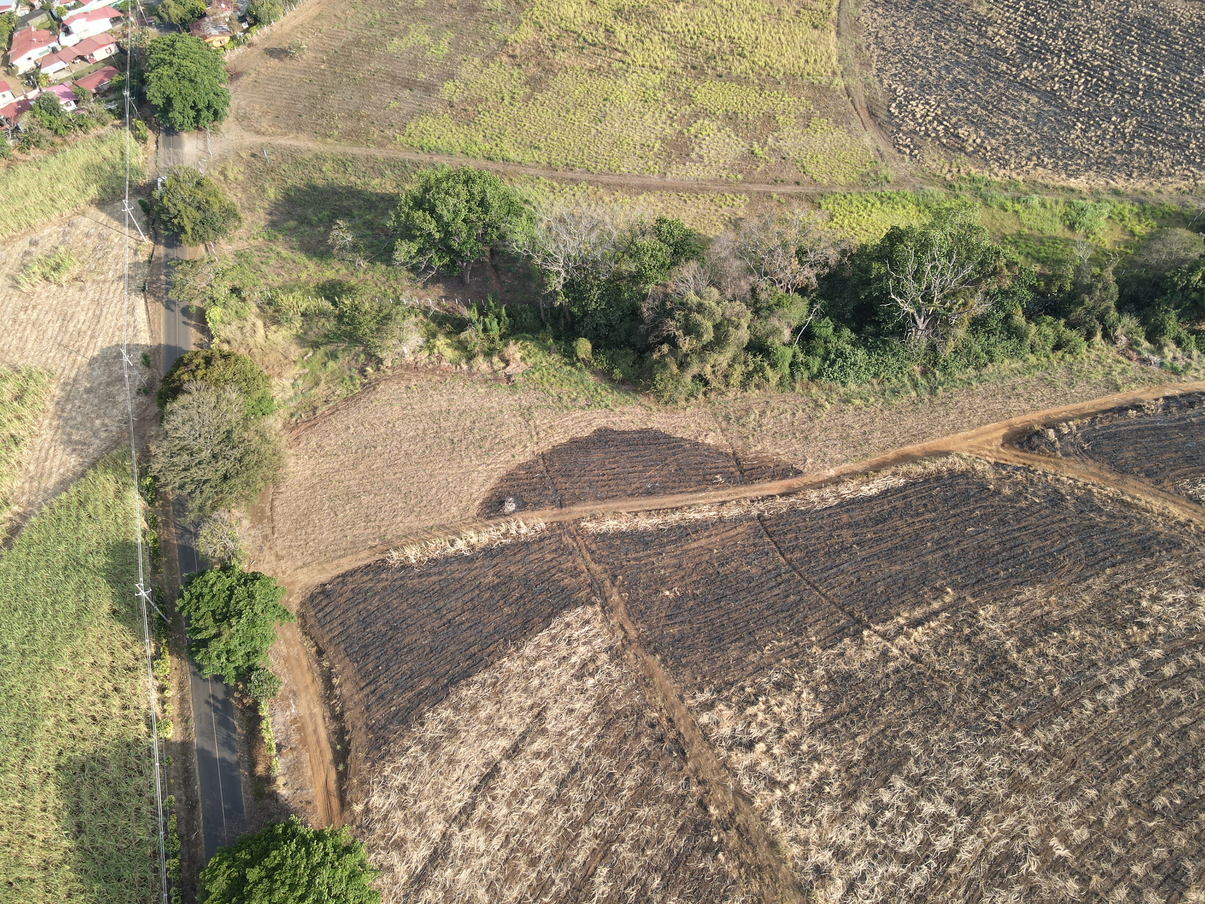 0 bed Land For Sale in Grecia, Alajuela - thumb 5