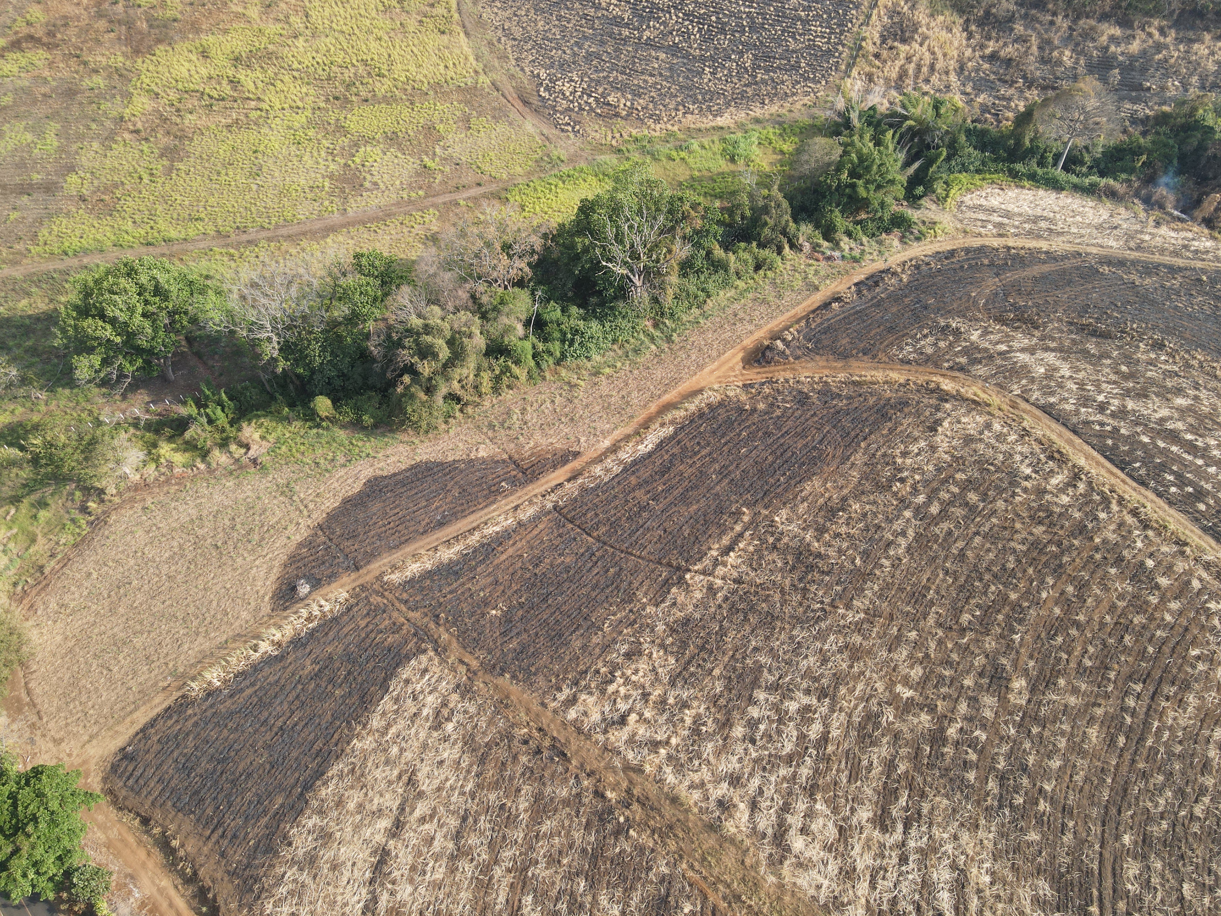 0 bed Land For Sale in Grecia, Alajuela - thumb 4