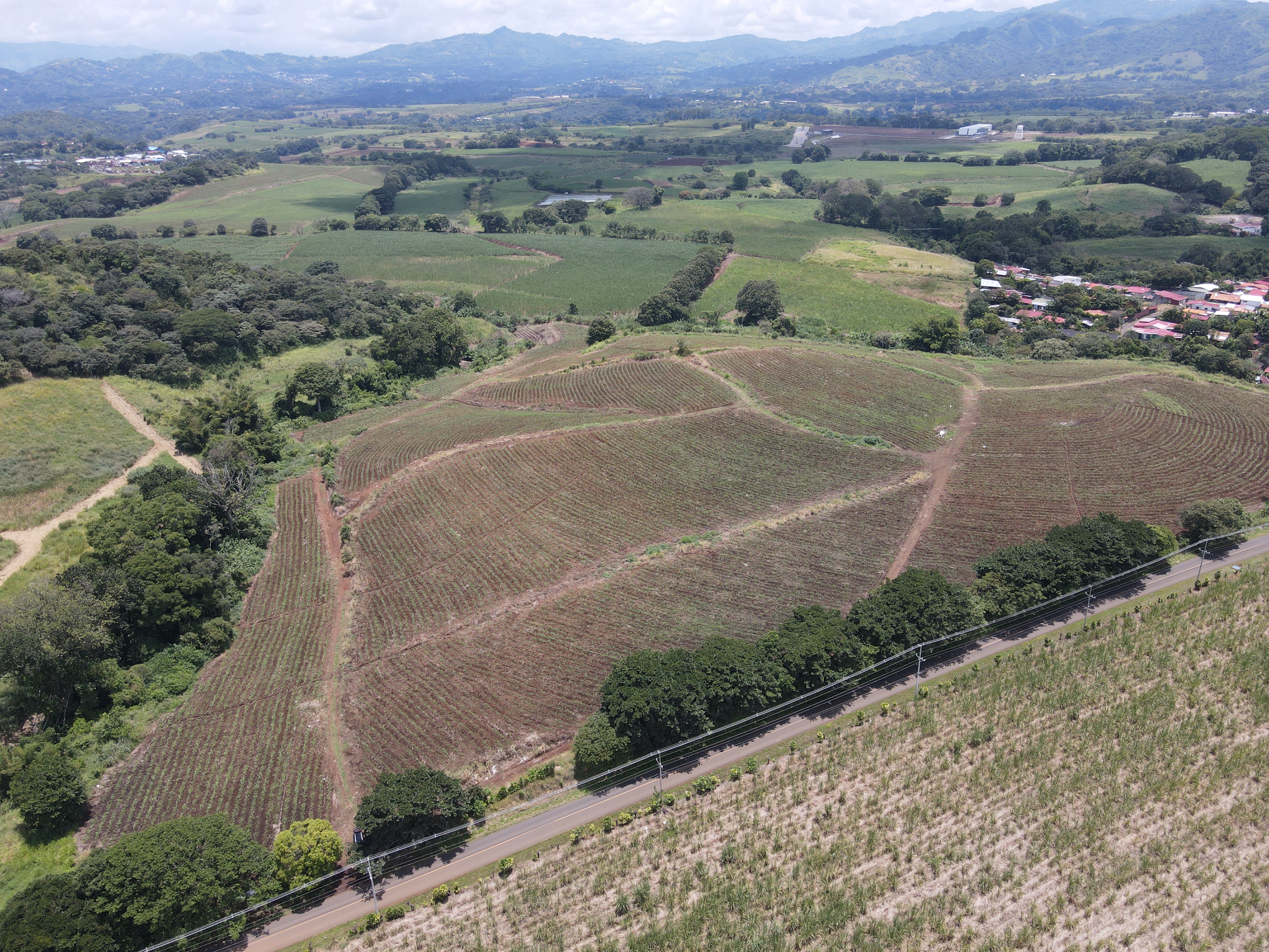 0 bed Land For Sale in Grecia, Alajuela - thumb 1